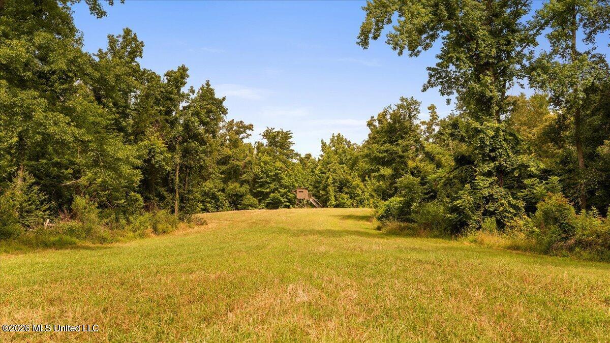 1527 Oneil Creek Road Property Photo 188