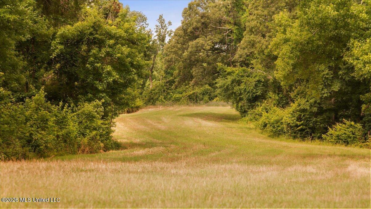 1527 Oneil Creek Road Property Photo 189