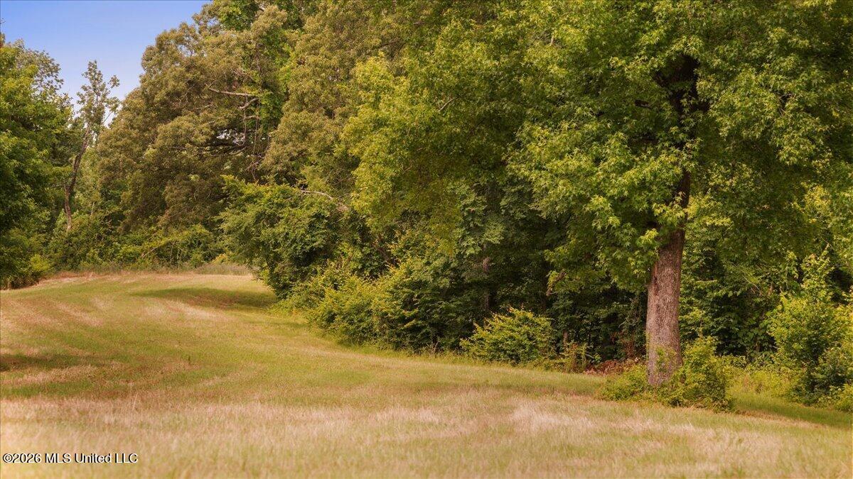 1527 Oneil Creek Road Property Photo 190