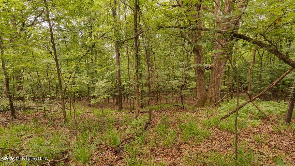 1527 Oneil Creek Road Property Photo 196