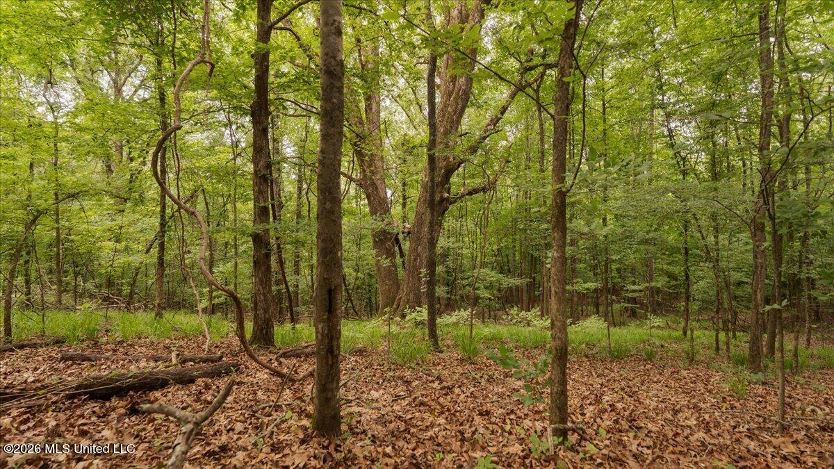 1527 Oneil Creek Road Property Photo 197