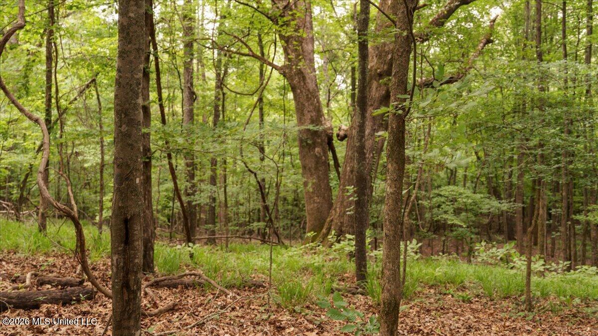 1527 Oneil Creek Road Property Photo 198