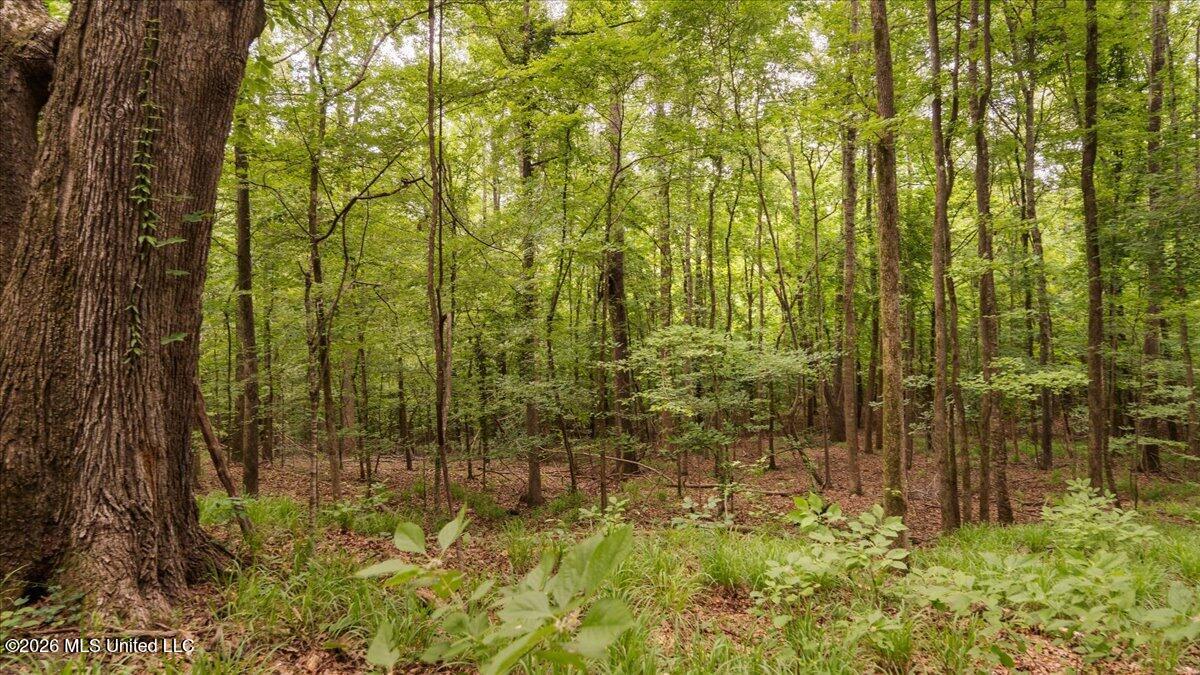 1527 Oneil Creek Road Property Photo 200