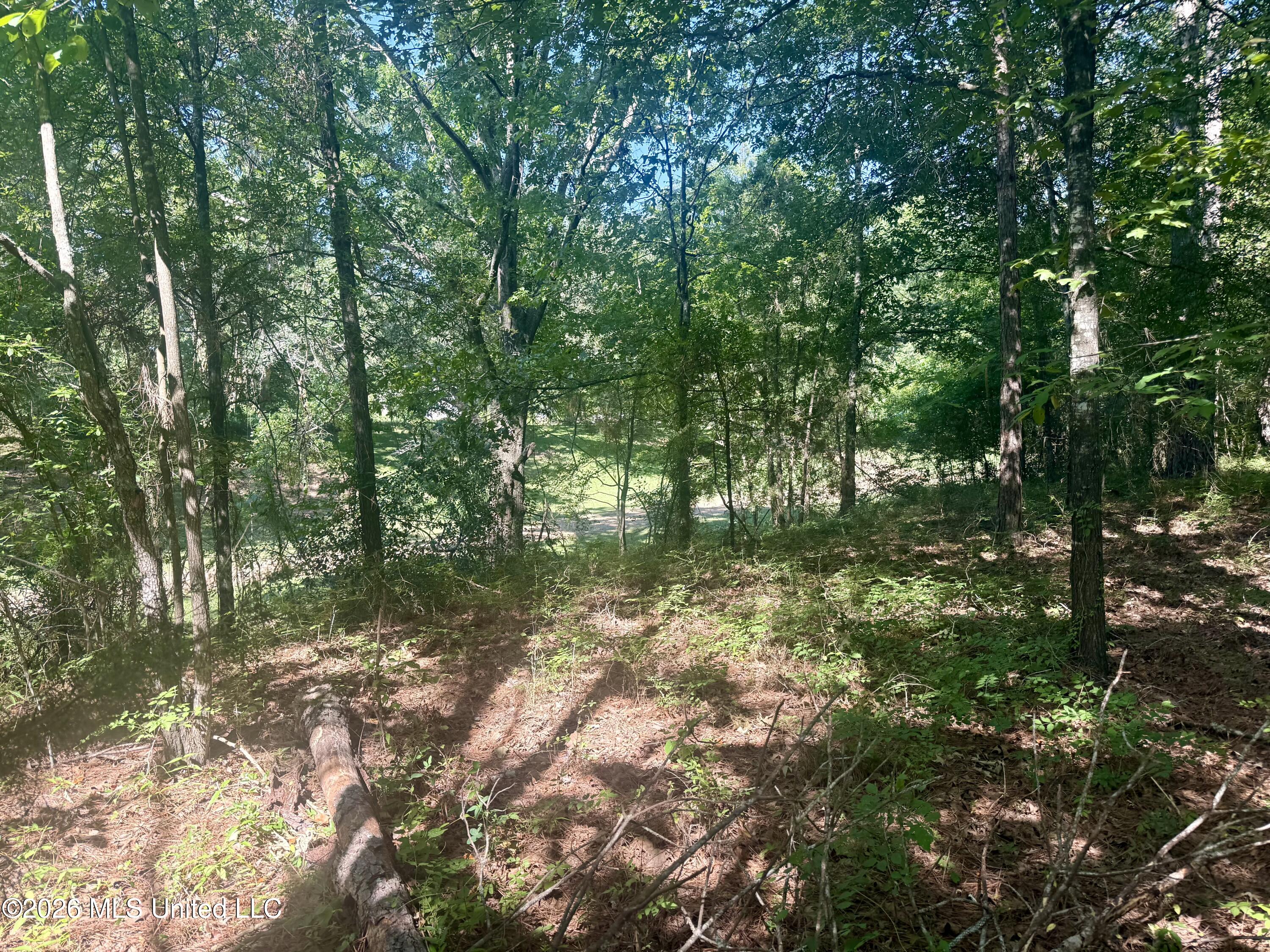 Willow Way Property Photo 3