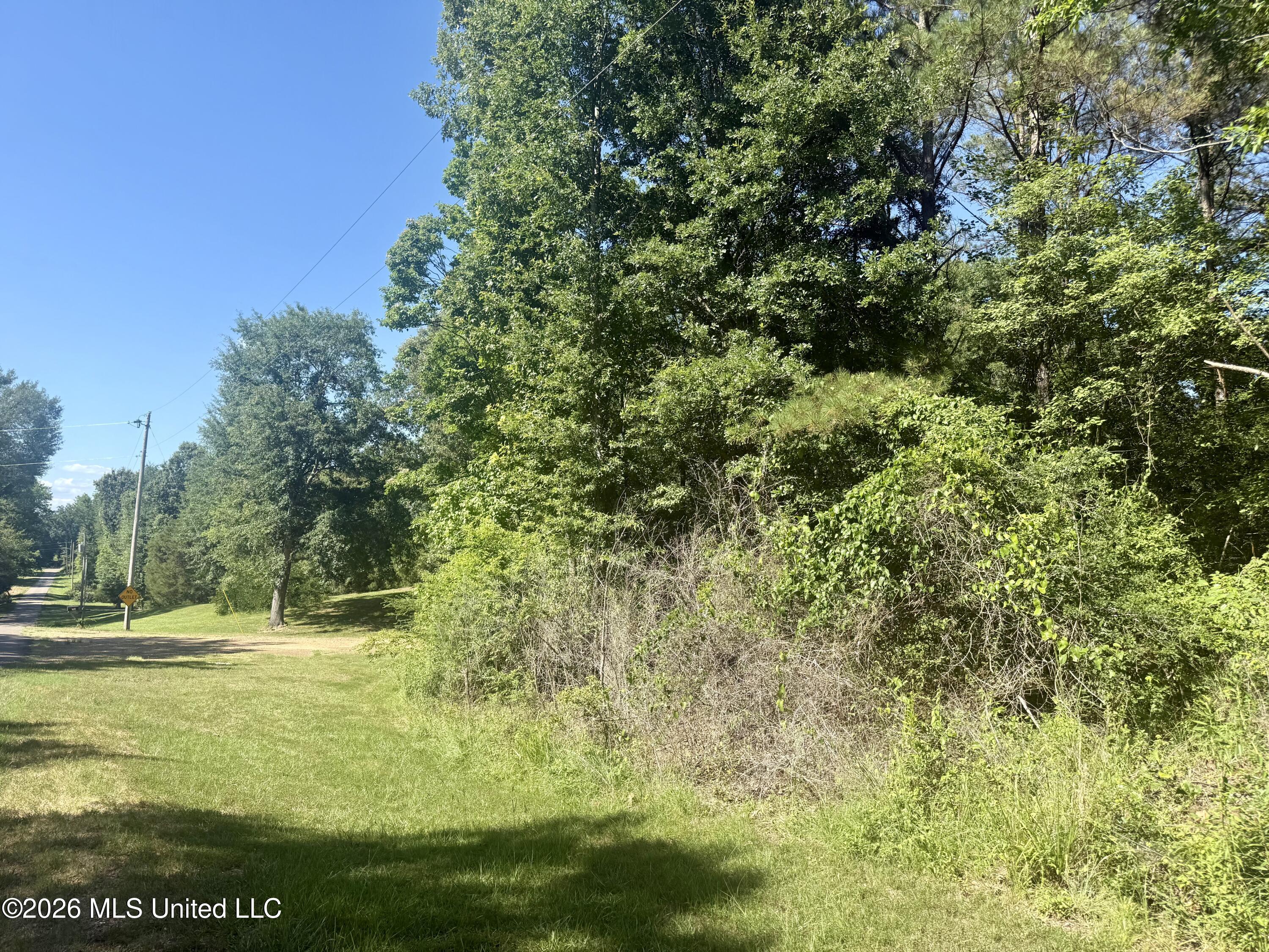 Willow Way Property Photo 6