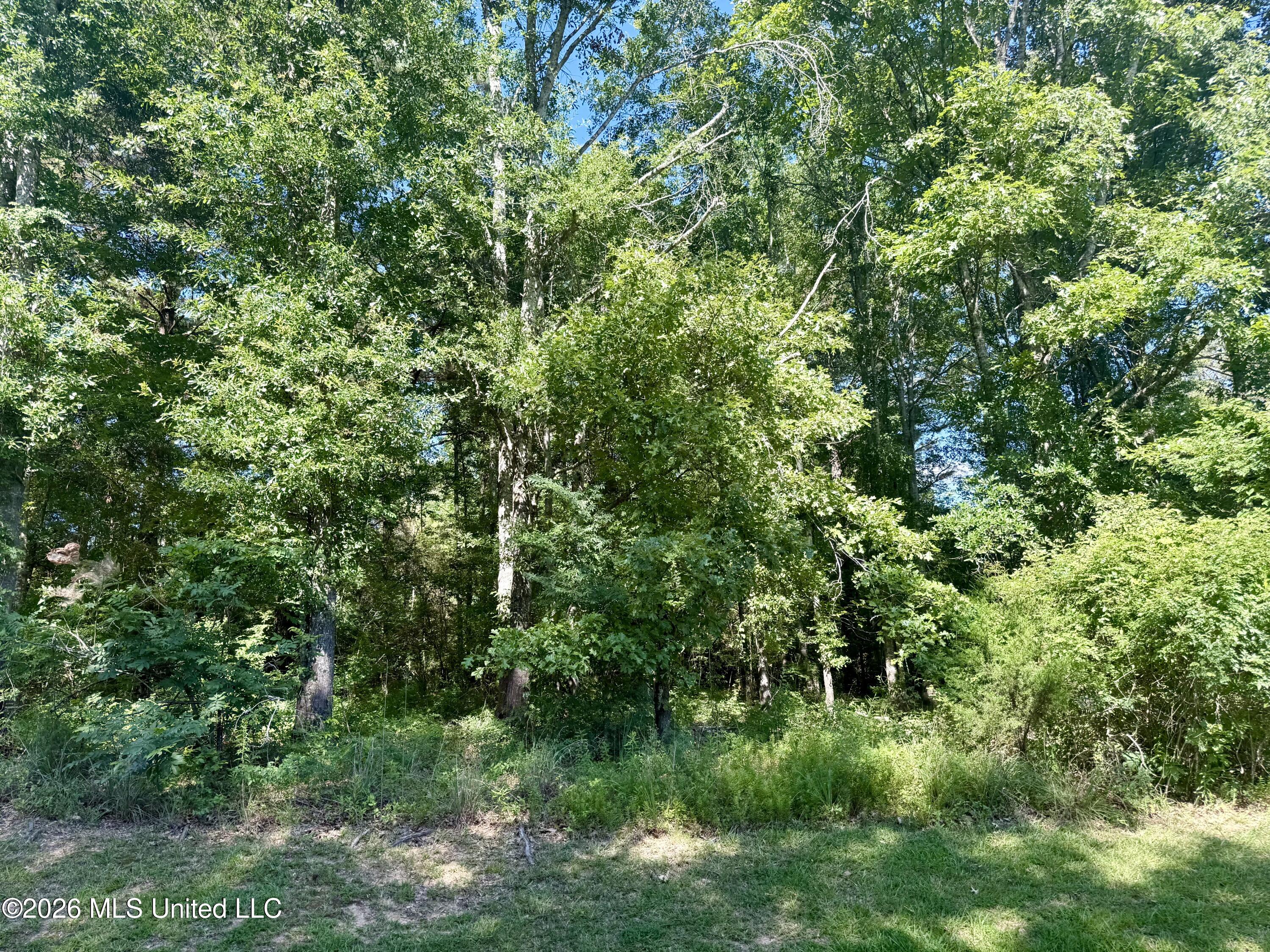 Willow Way Property Photo 8
