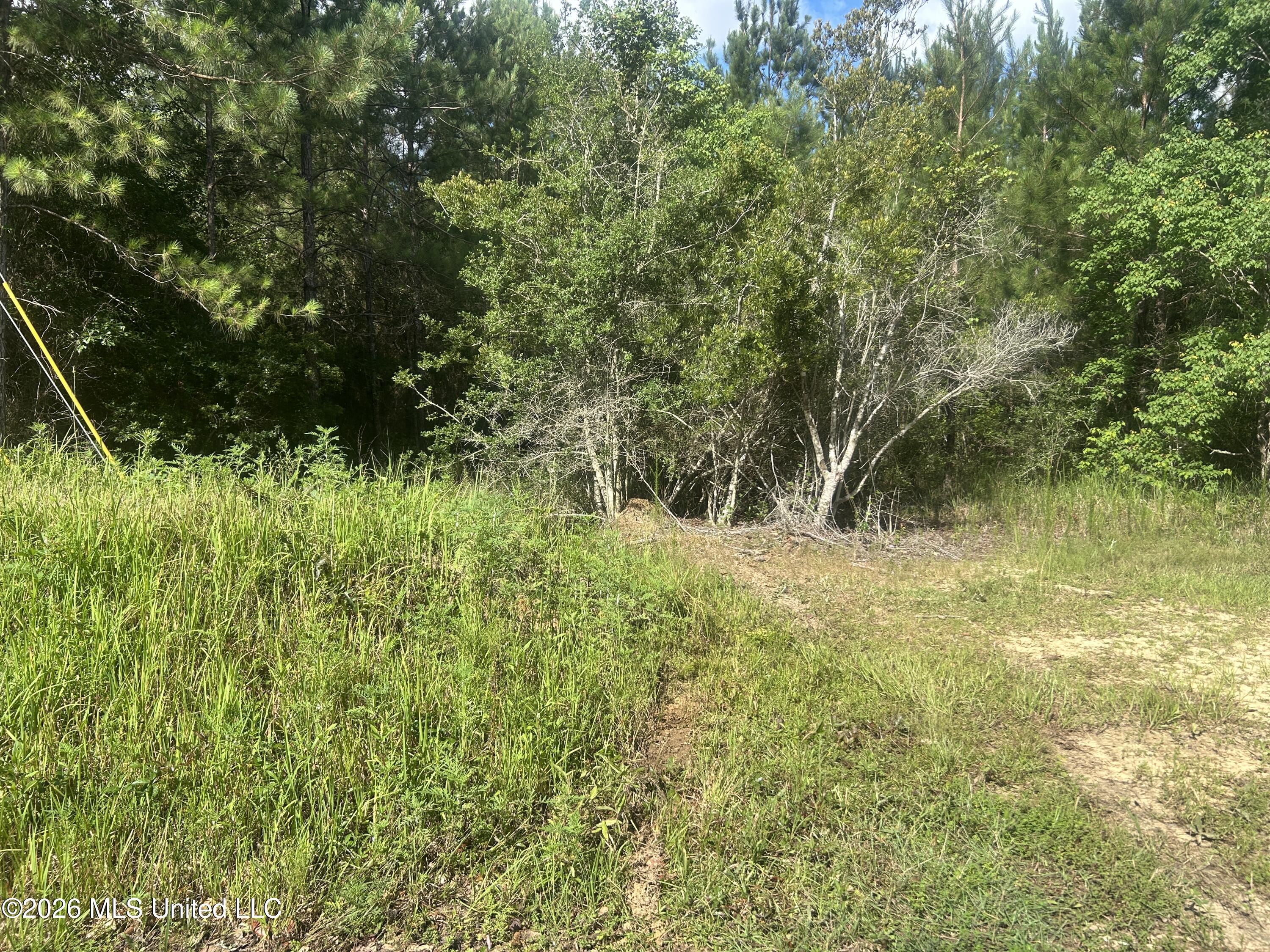 Ms-67 Property Photo 1