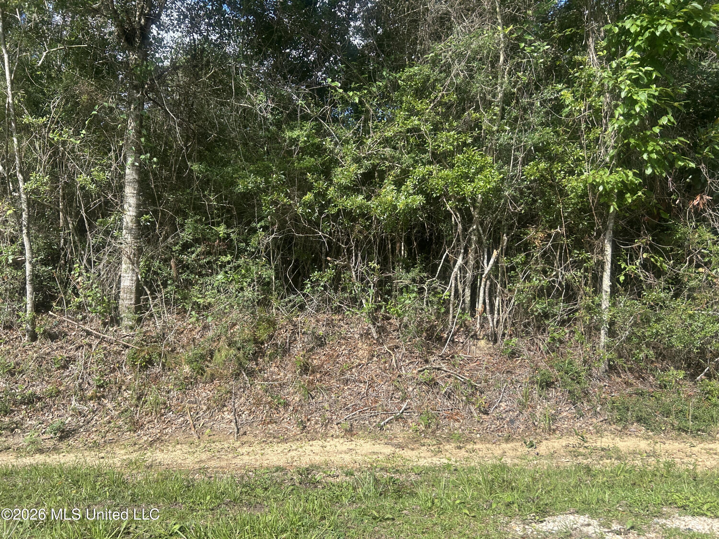 Ms-67 Property Photo 2