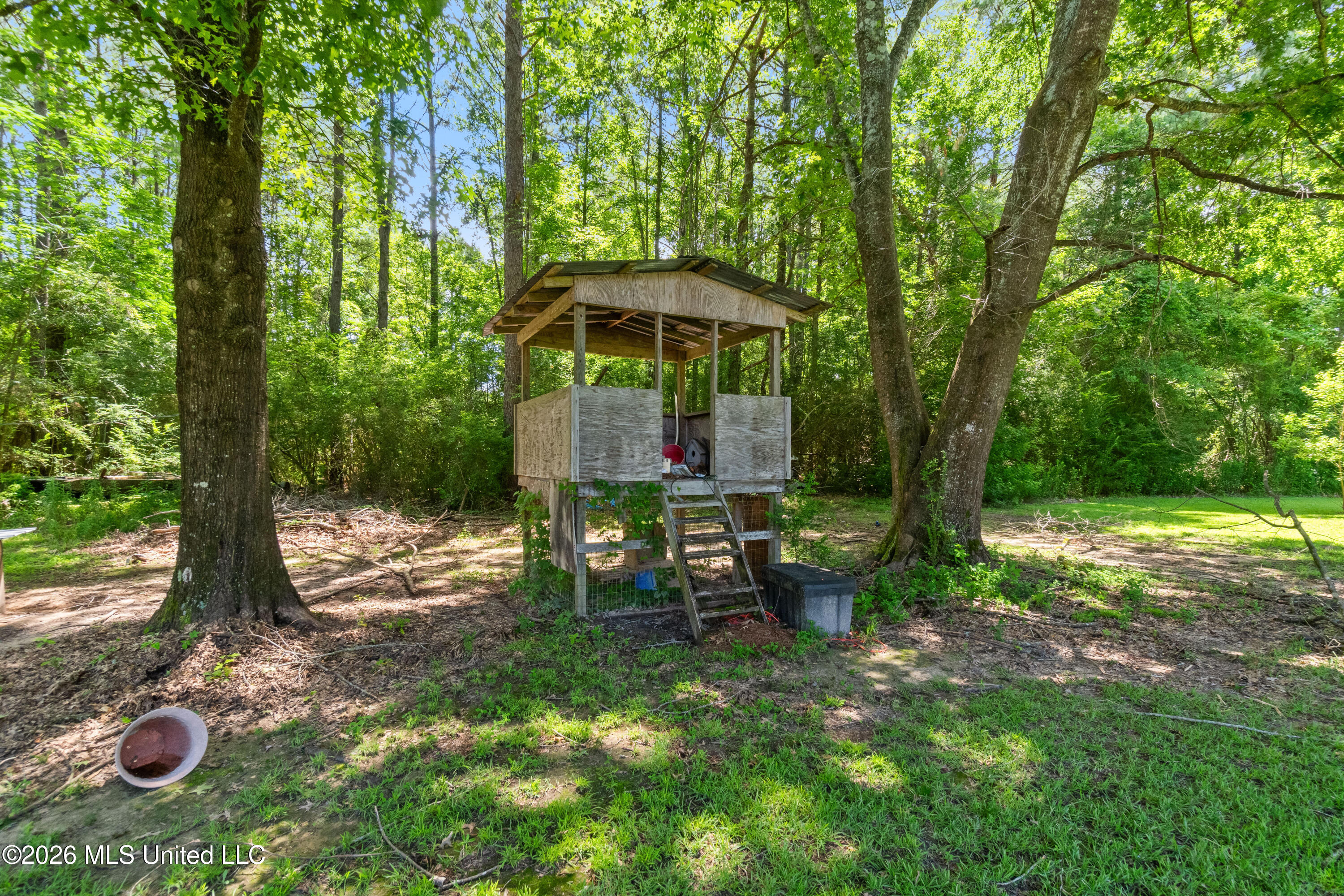 955 Clara Road Property Photo 40