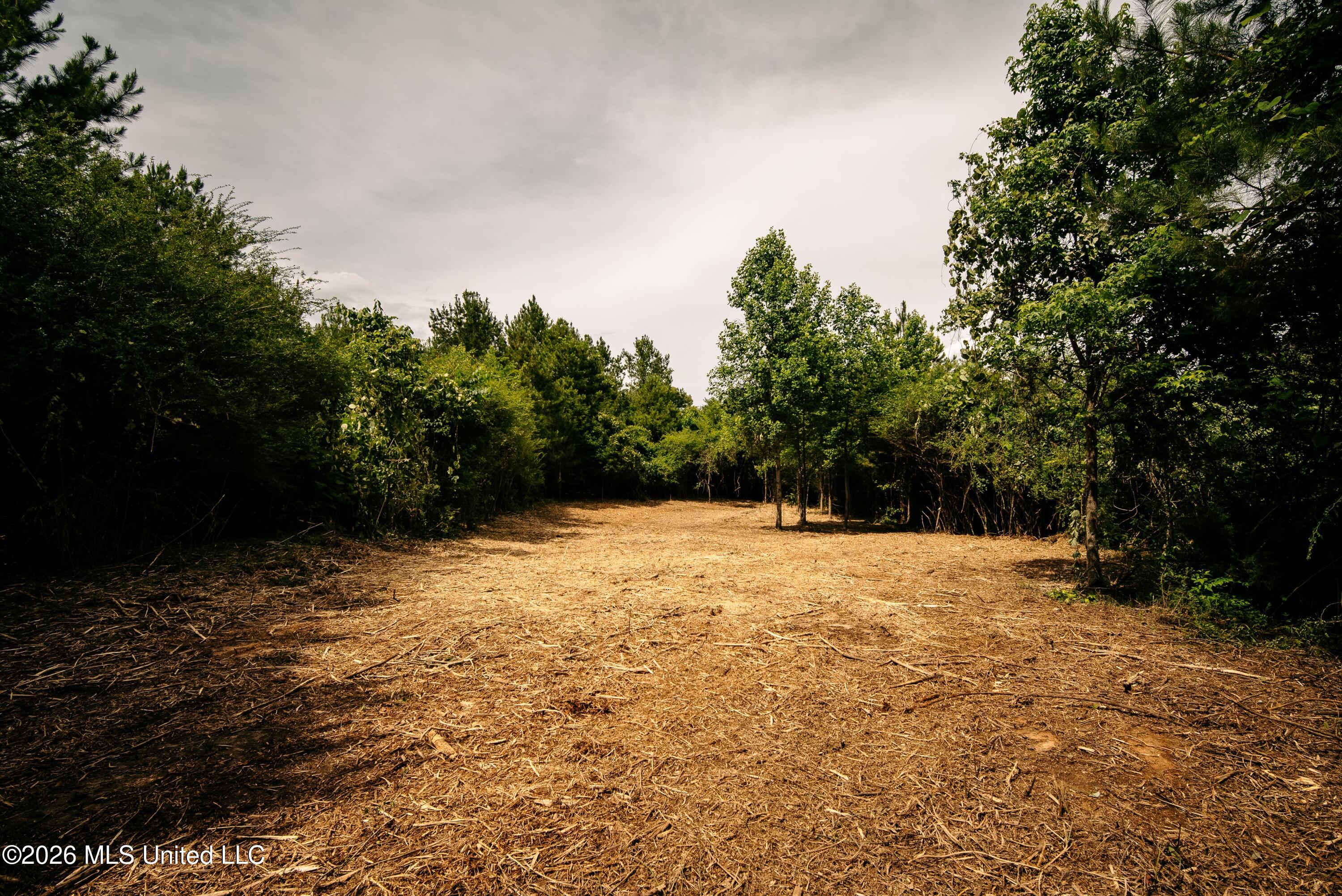 Reservation Road Property Photo 4