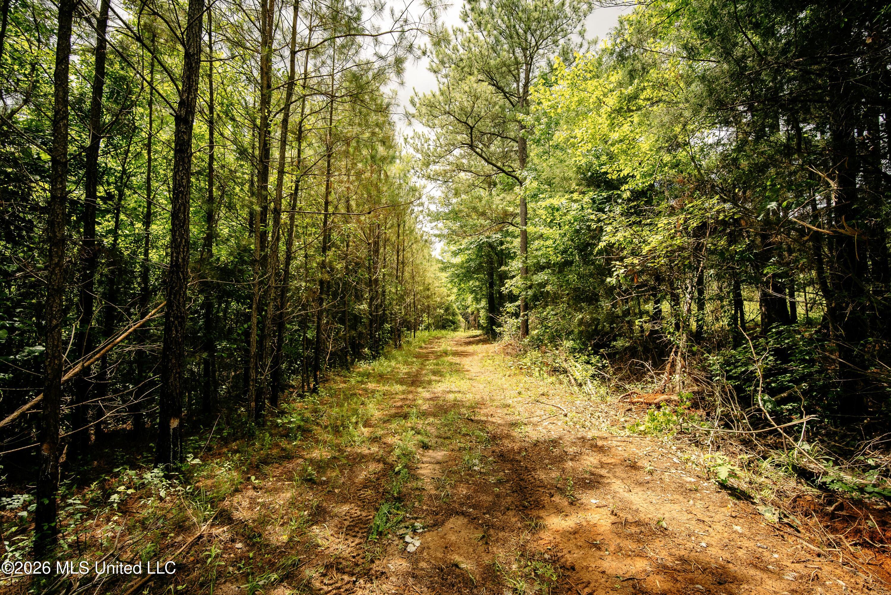 Reservation Road Property Photo 14