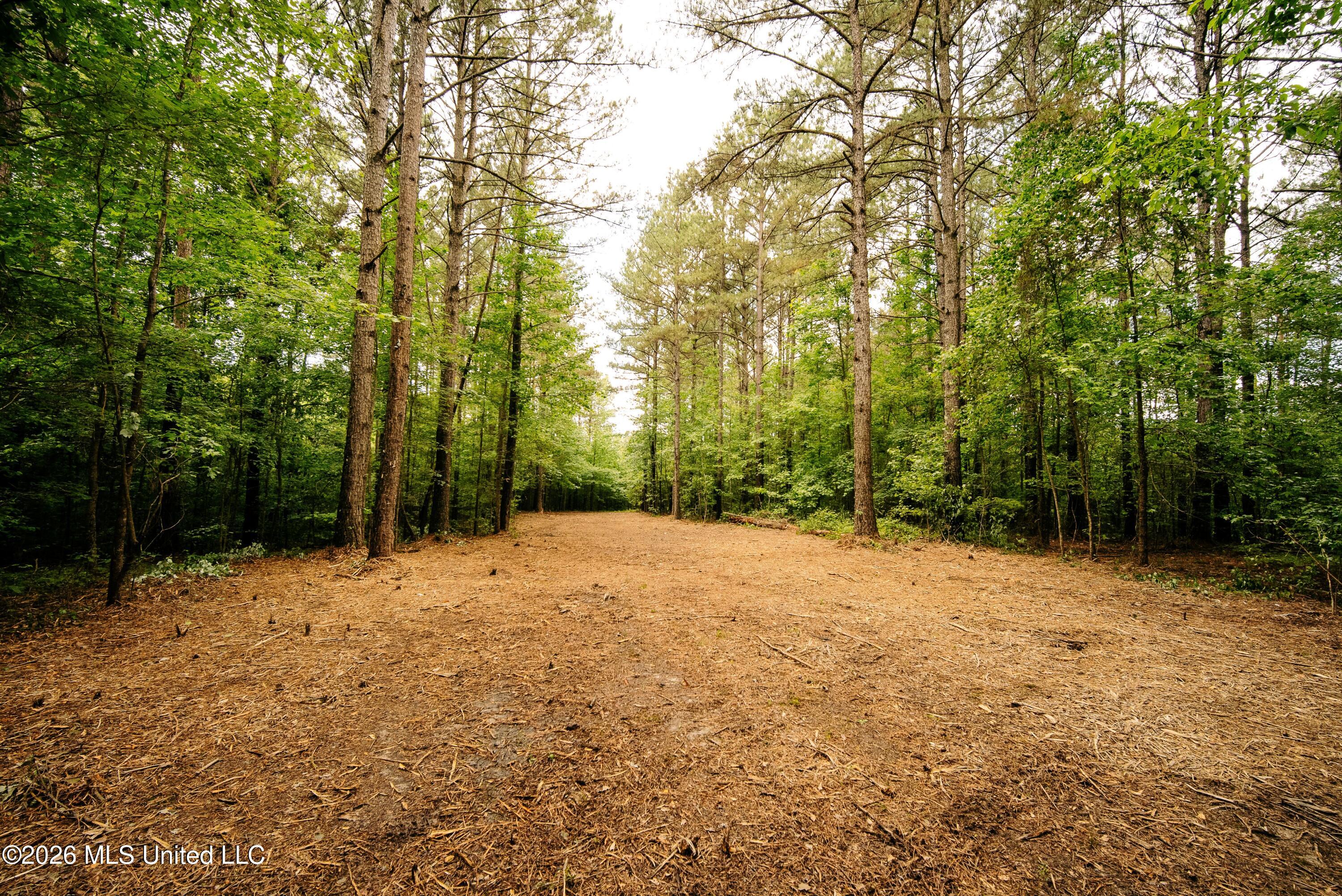 Reservation Road Property Photo 15