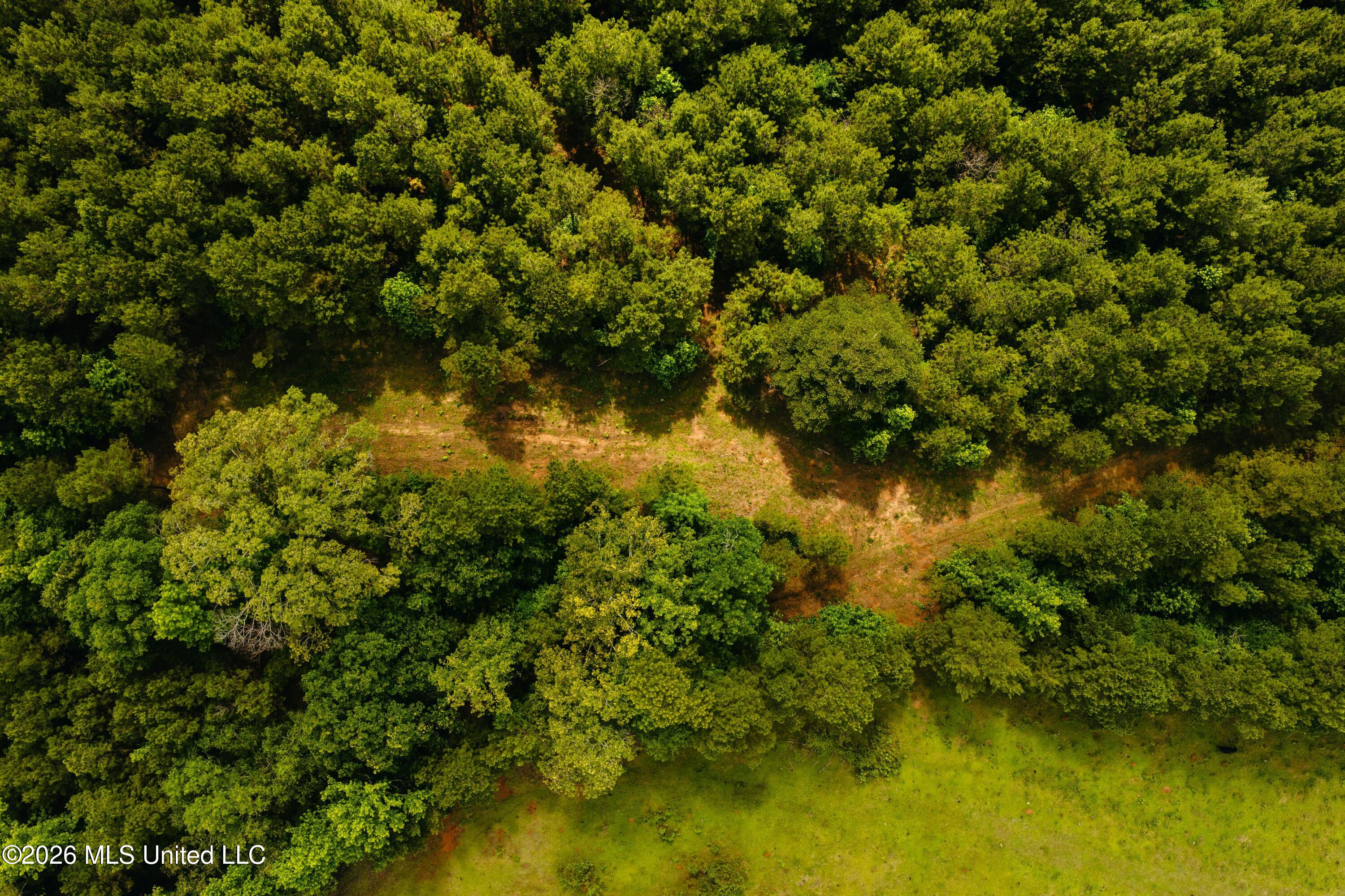 Reservation Road Property Photo 17