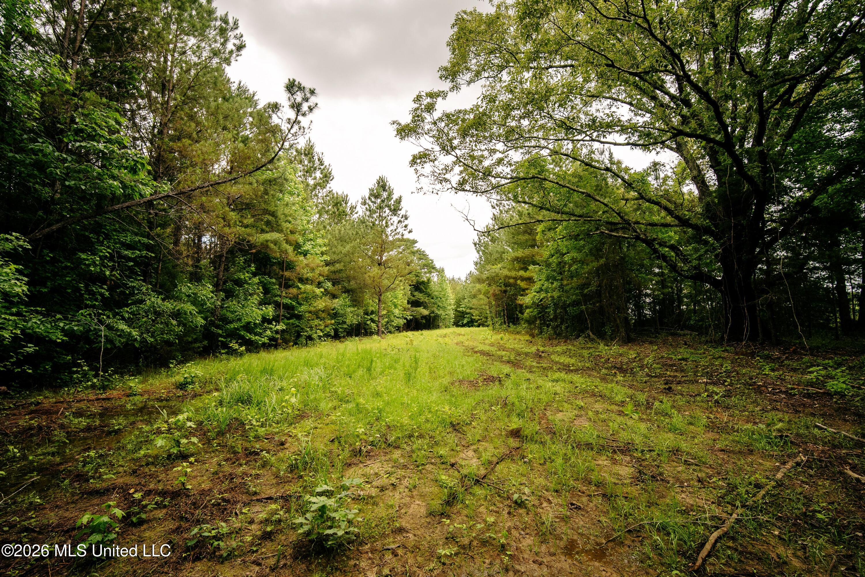 Reservation Road Property Photo 23