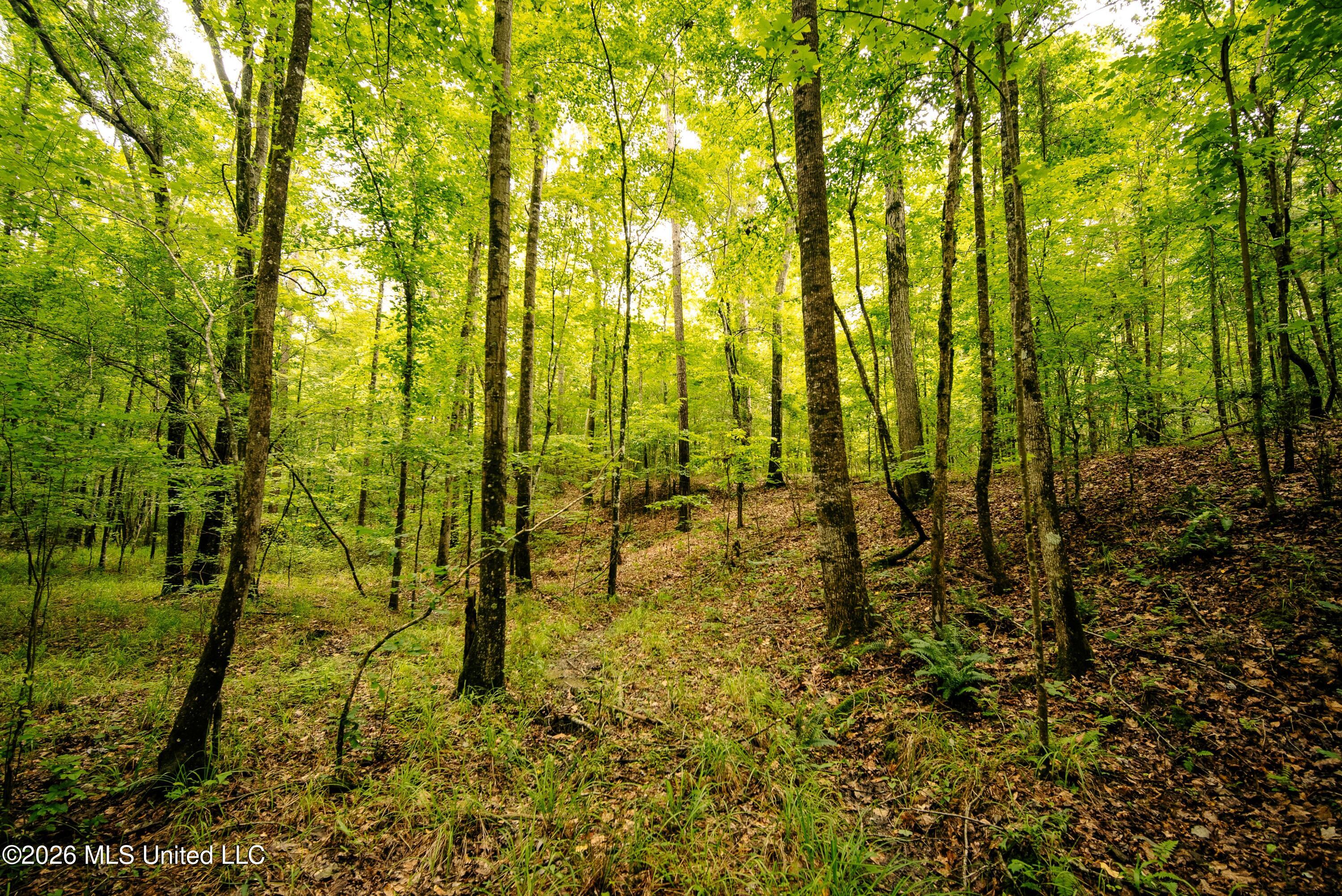 Reservation Road Property Photo 25