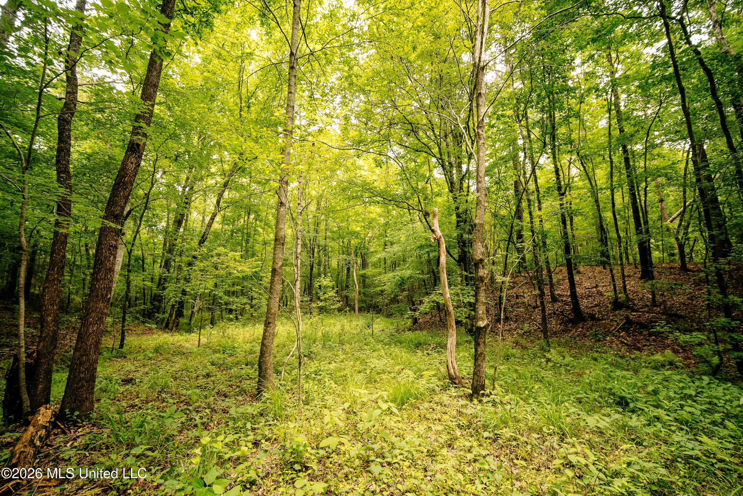 Reservation Road Property Photo 27