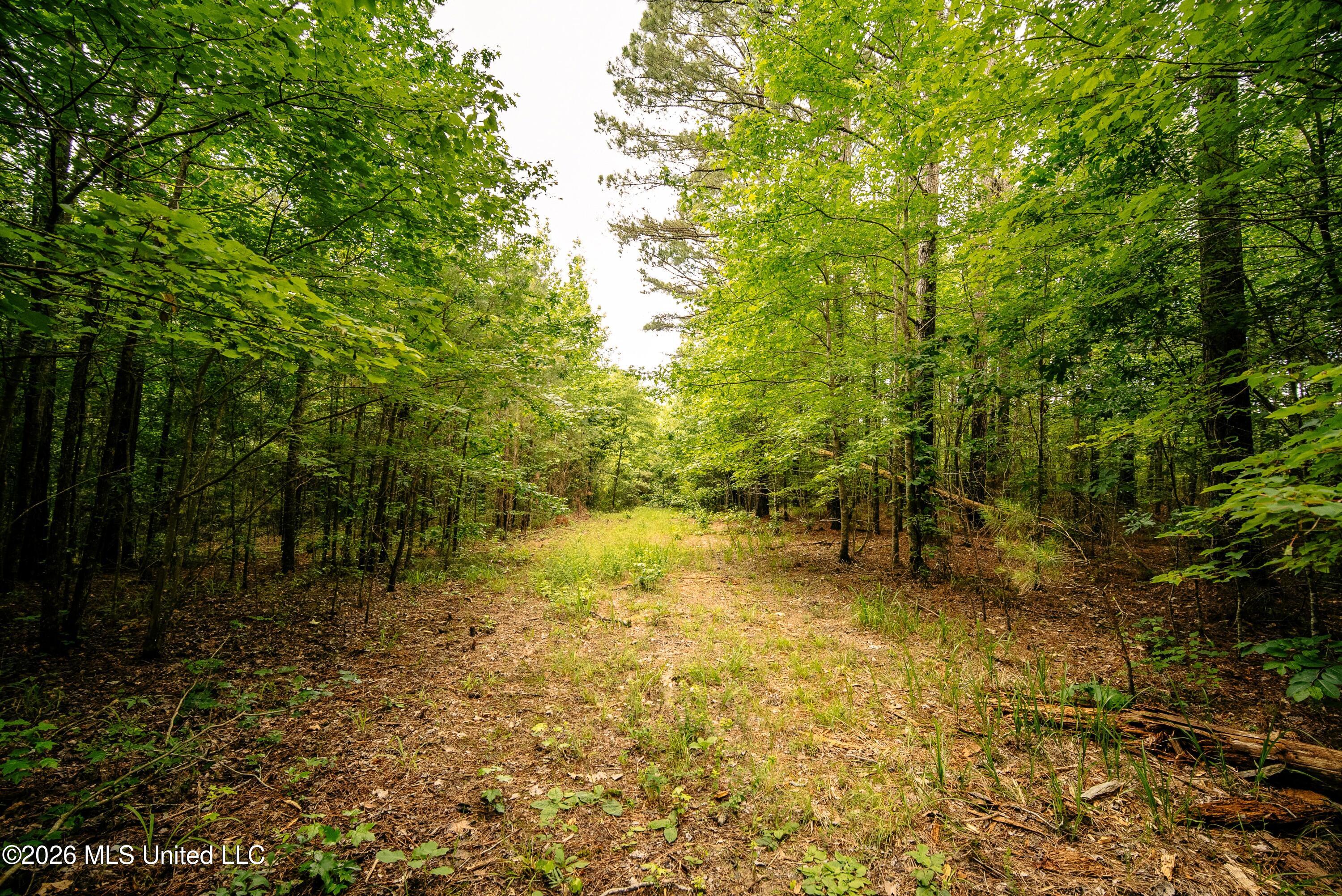 Reservation Road Property Photo 28