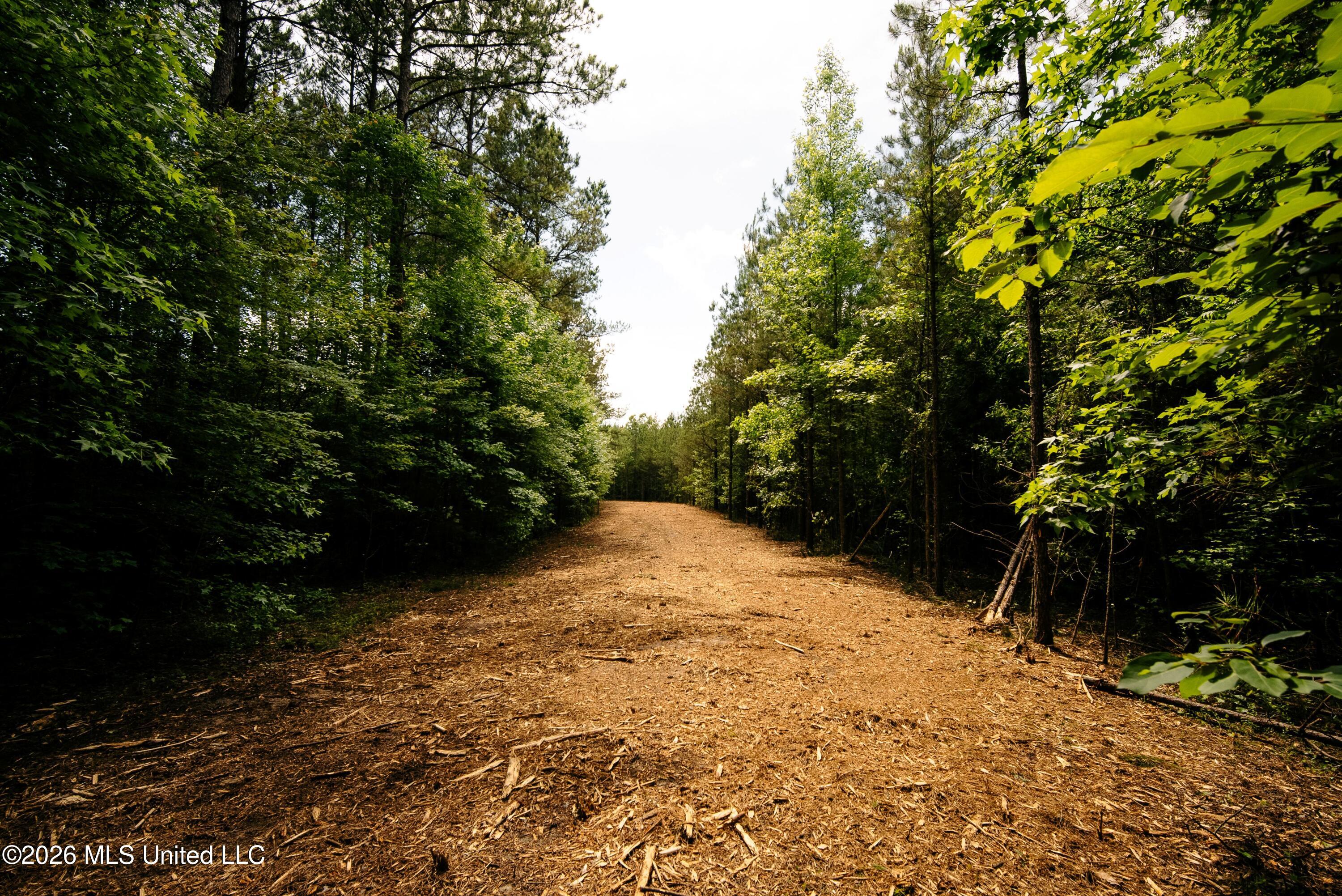 Reservation Road Property Photo 30