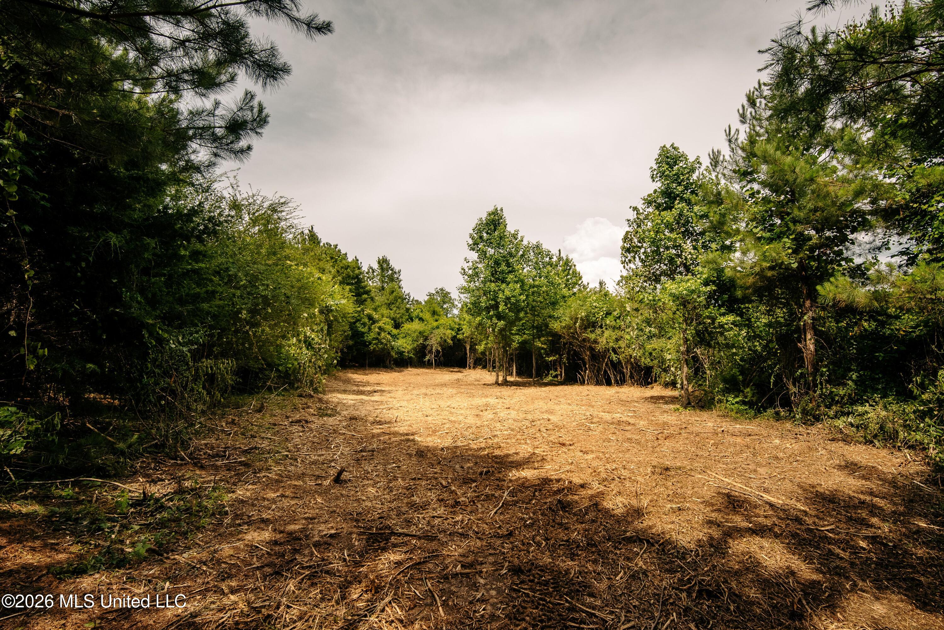 Reservation Road Property Photo 31