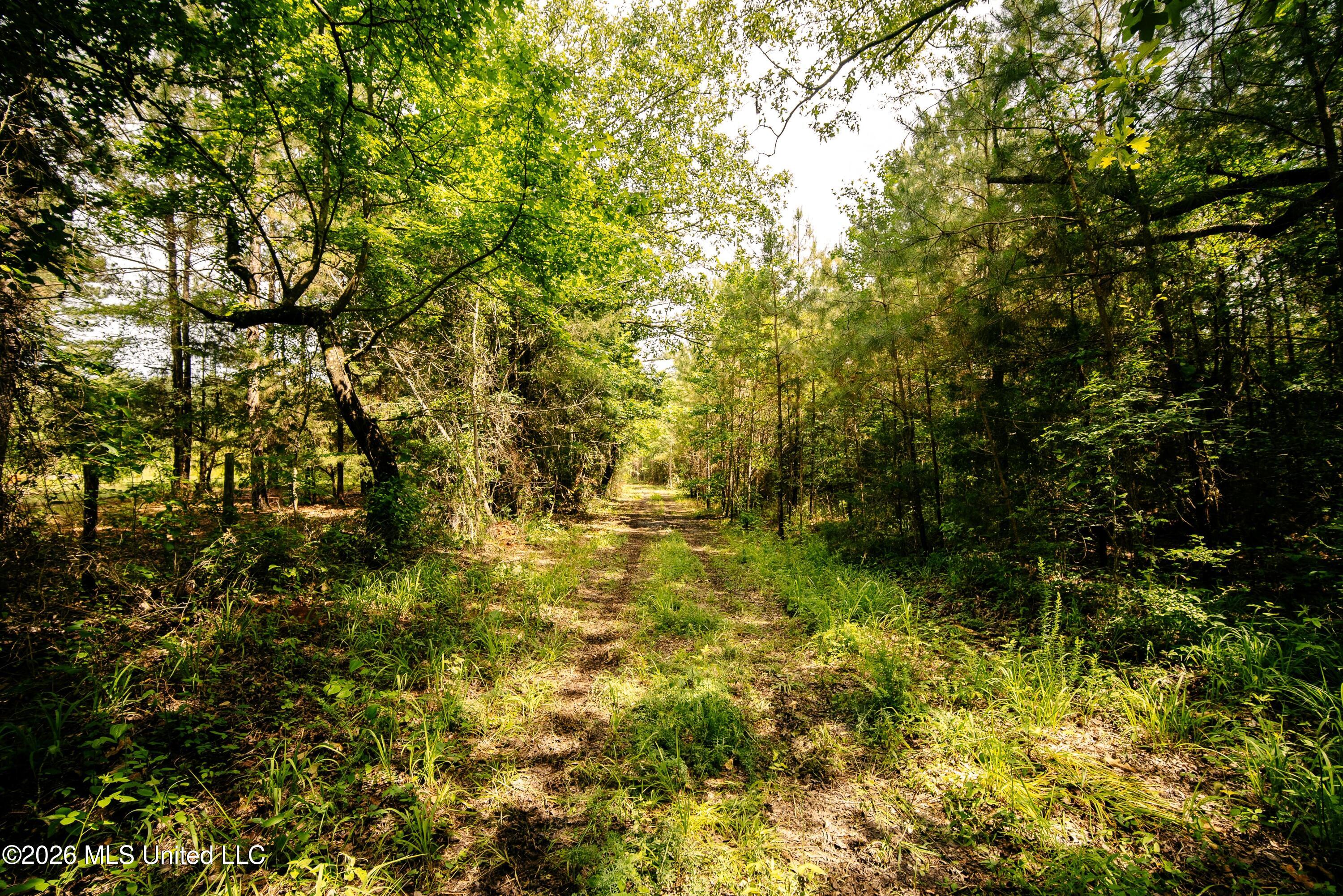 Reservation Road Property Photo 32