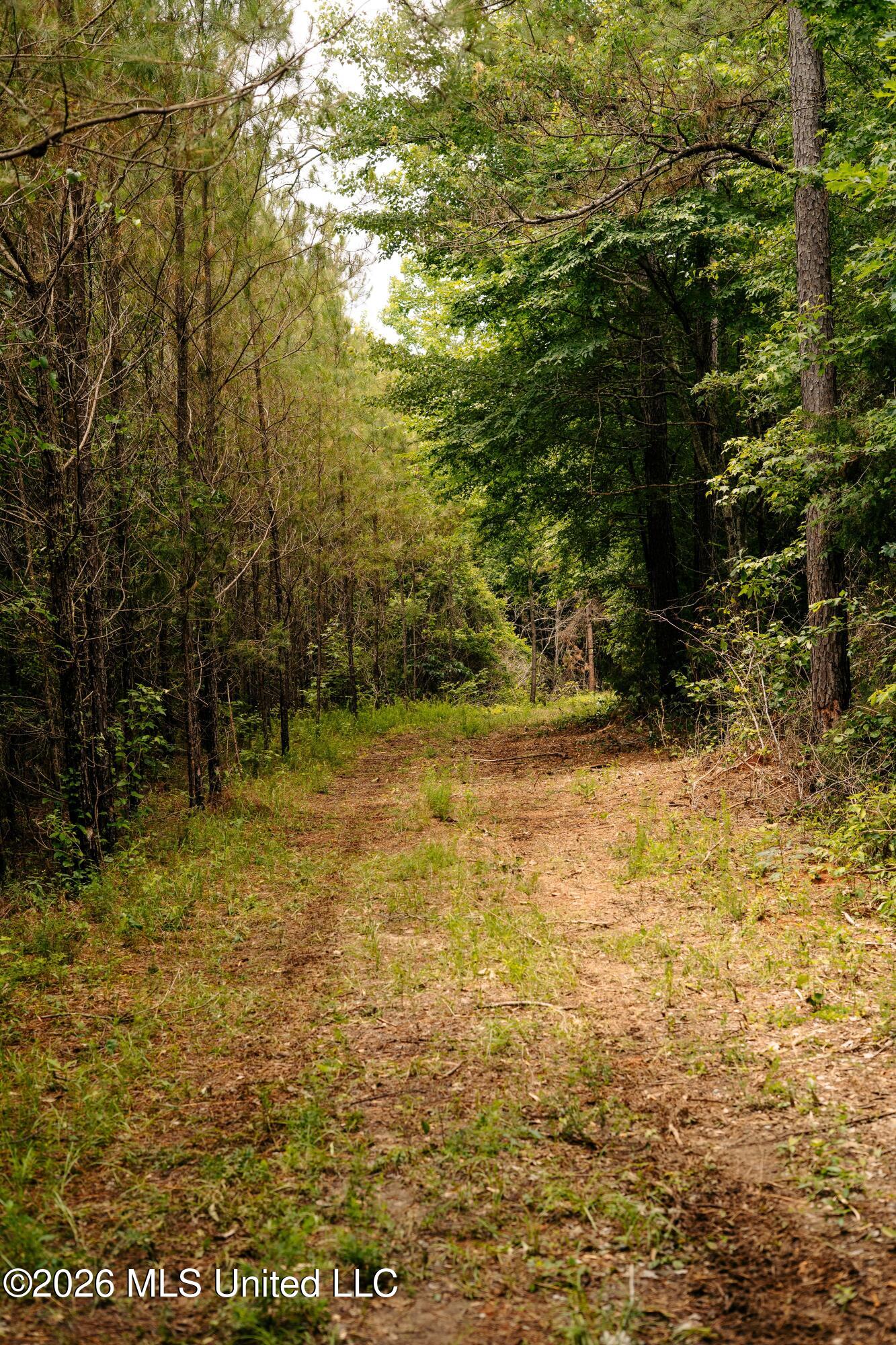 Reservation Road Property Photo 33