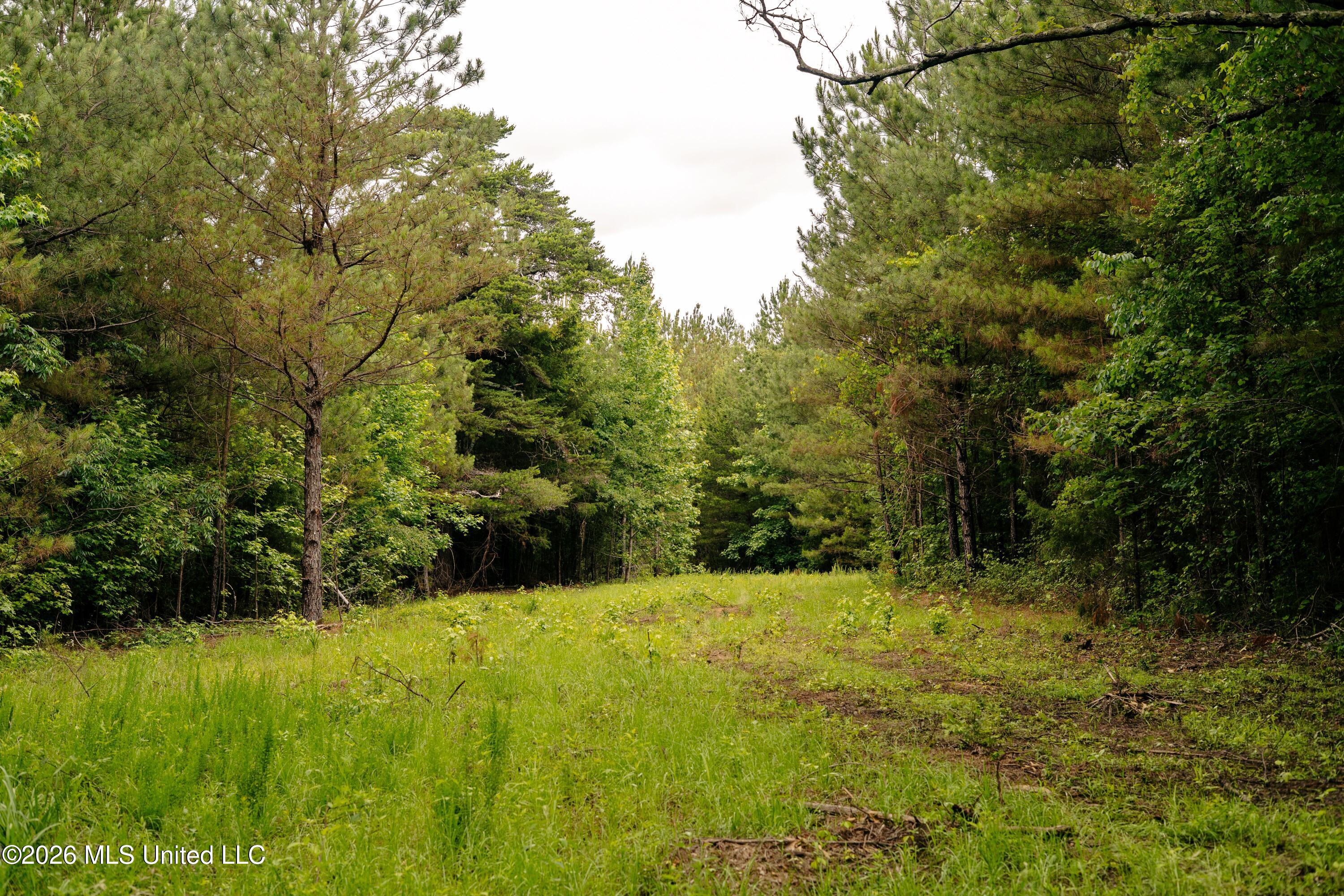 Reservation Road Property Photo 34