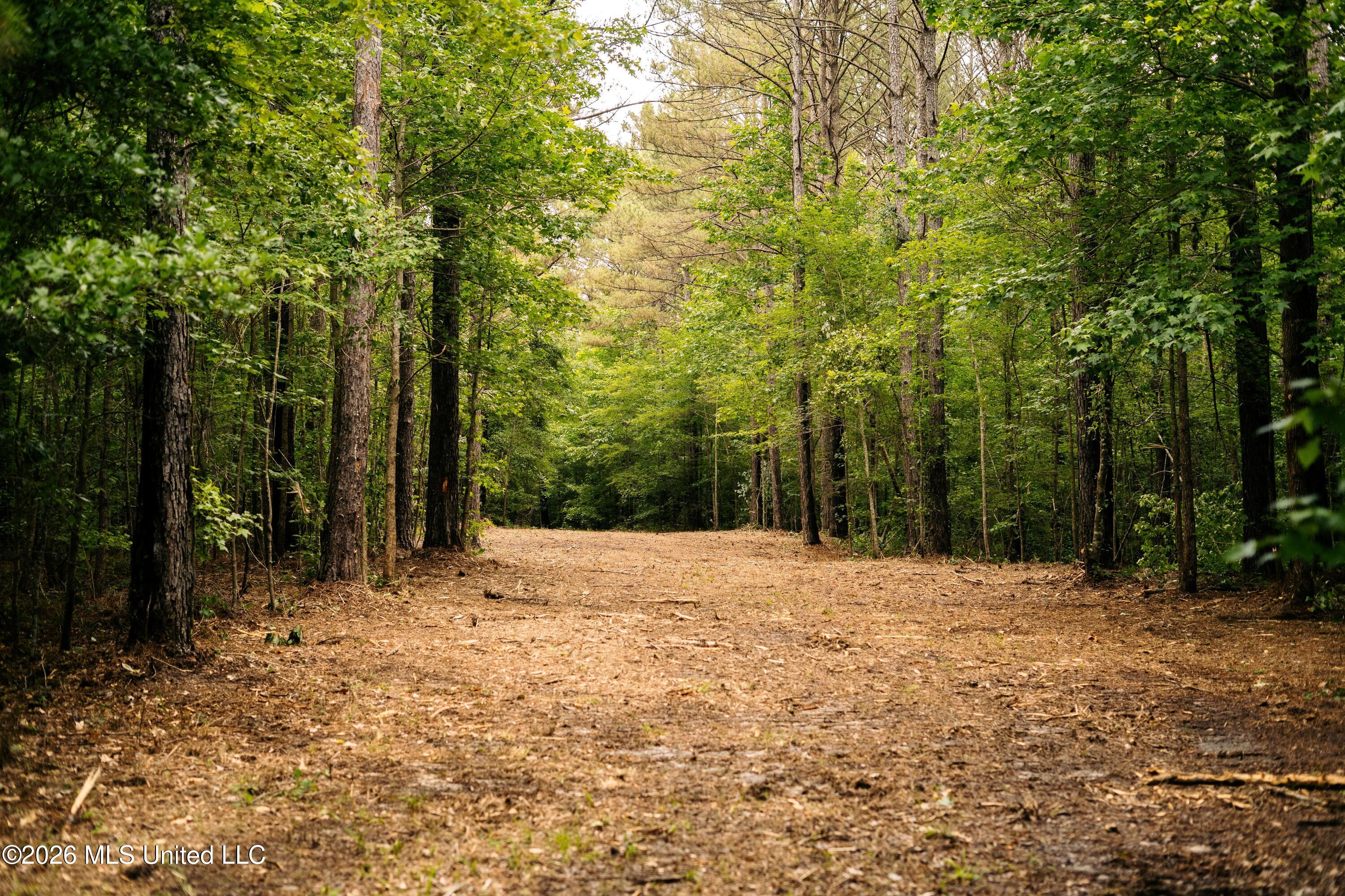Reservation Road Property Photo 38