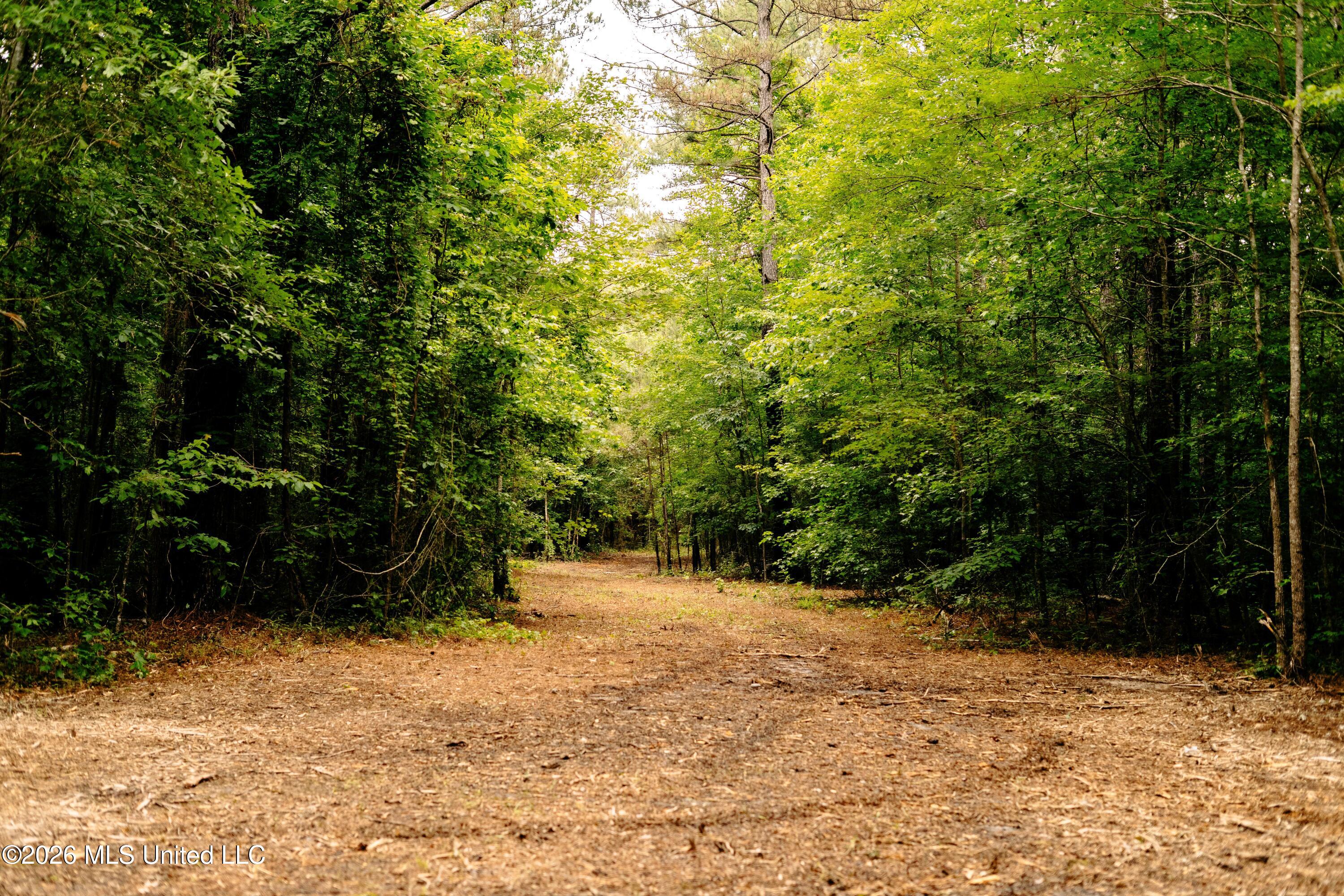 Reservation Road Property Photo 39