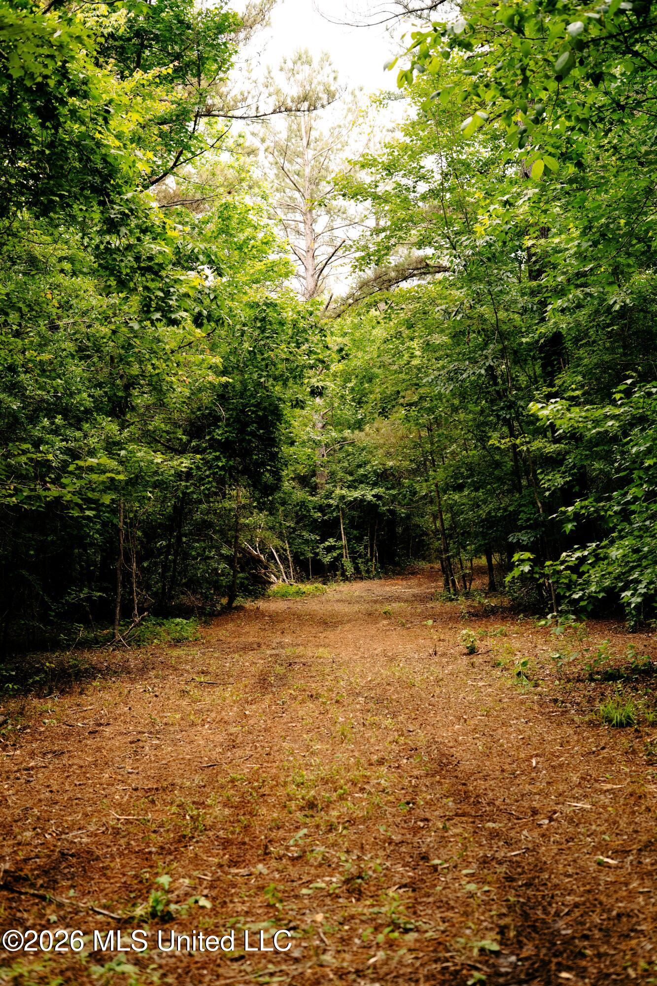 Reservation Road Property Photo 40