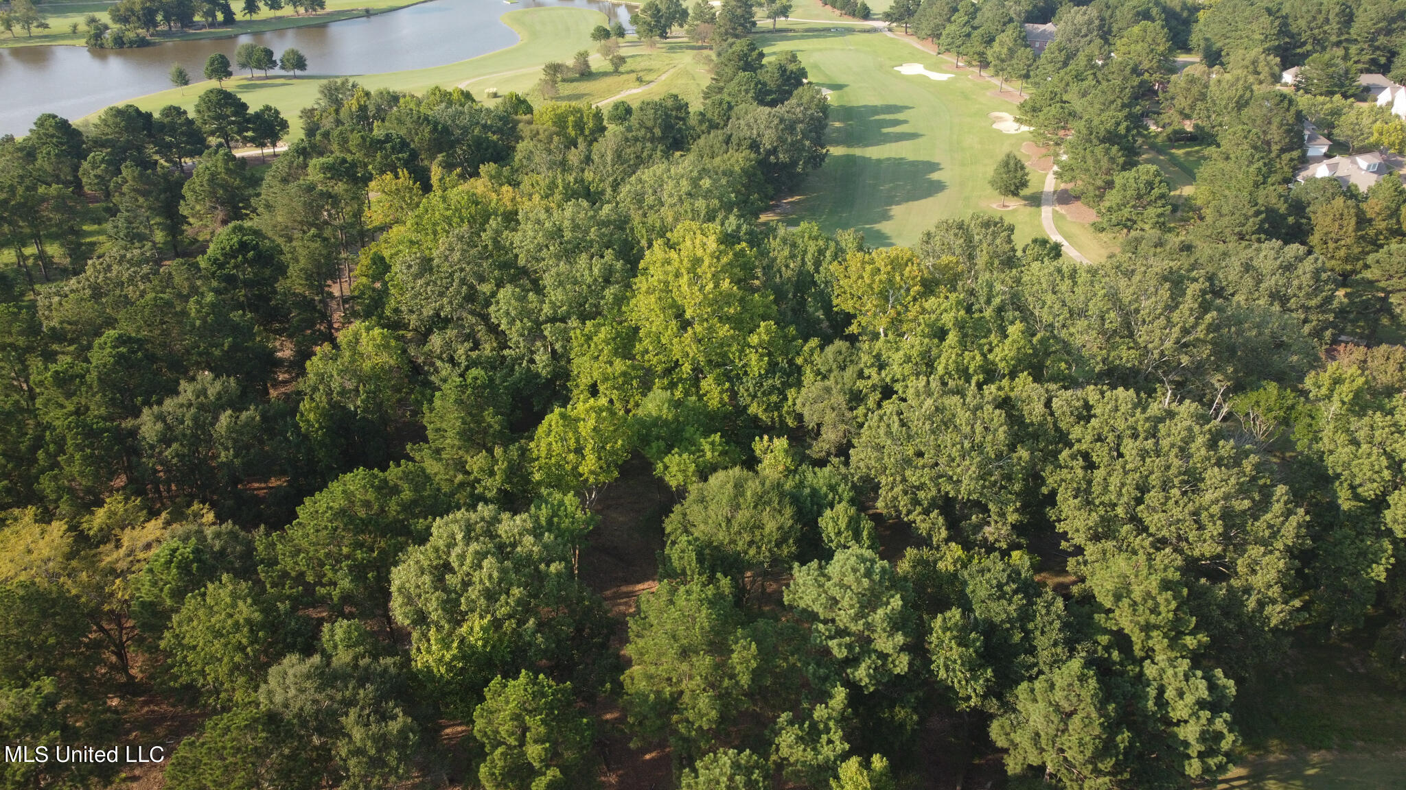 Annandale Drive Property Photo 3