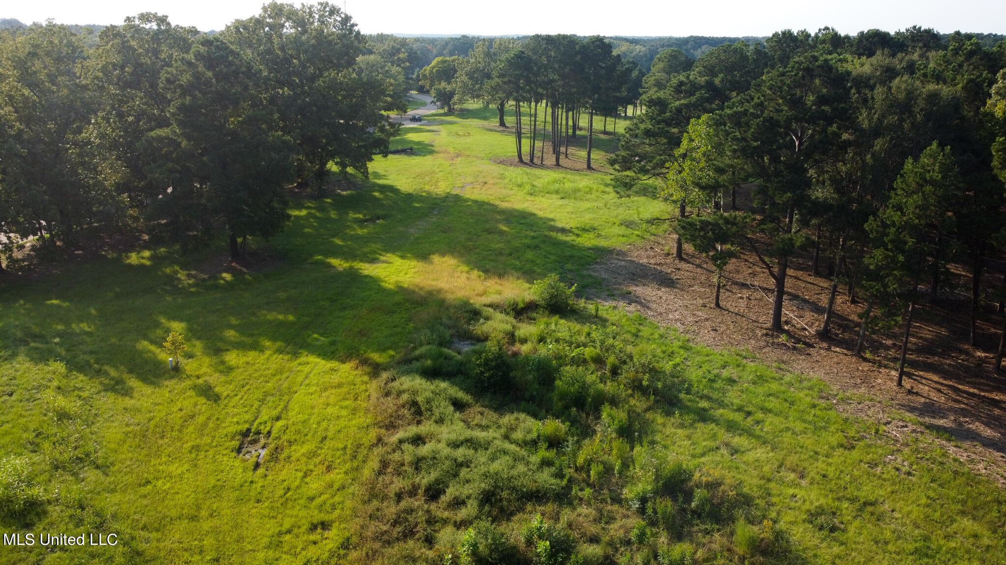Annandale Drive Property Photo 6