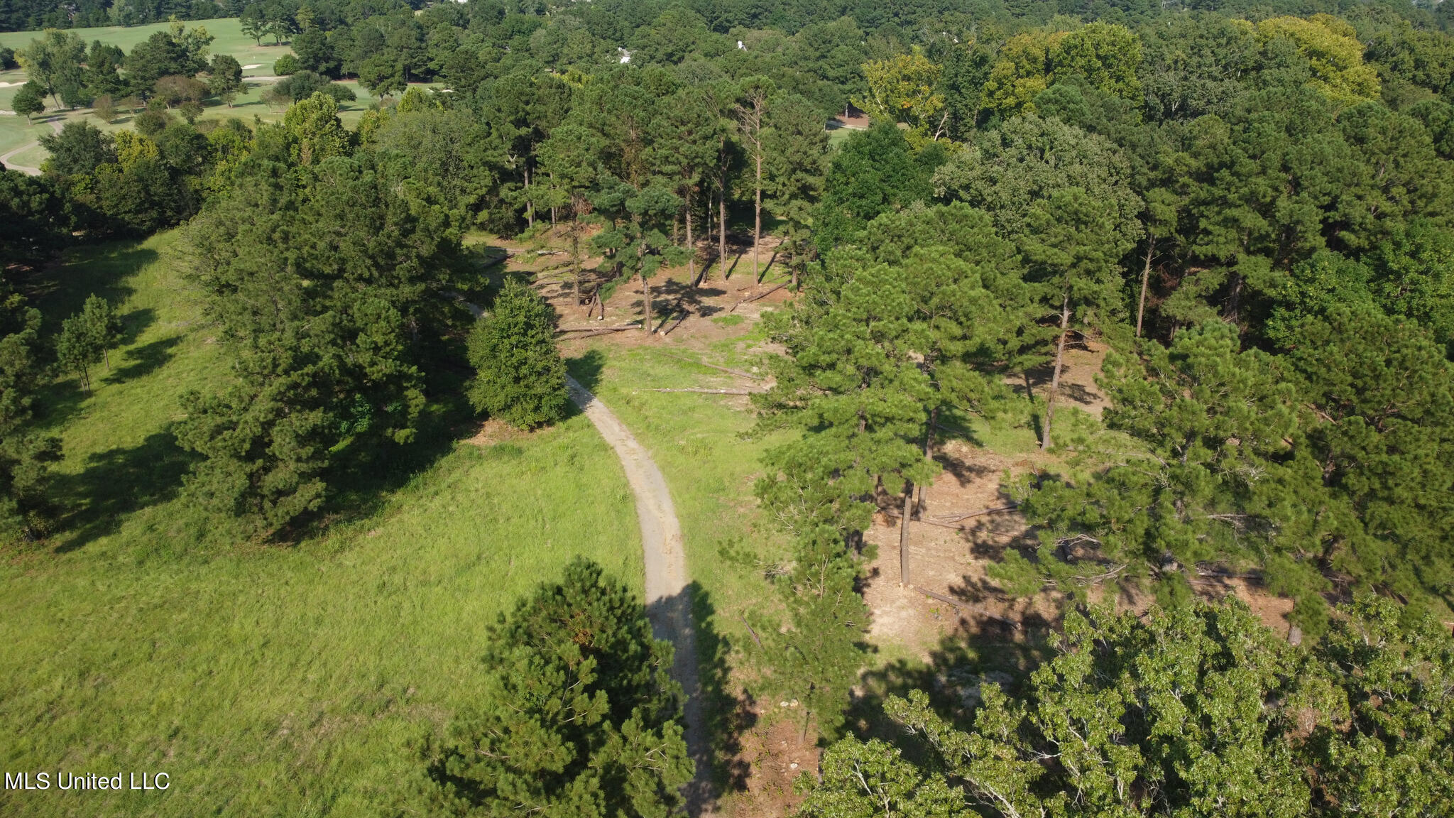 Annandale Drive Property Photo 11