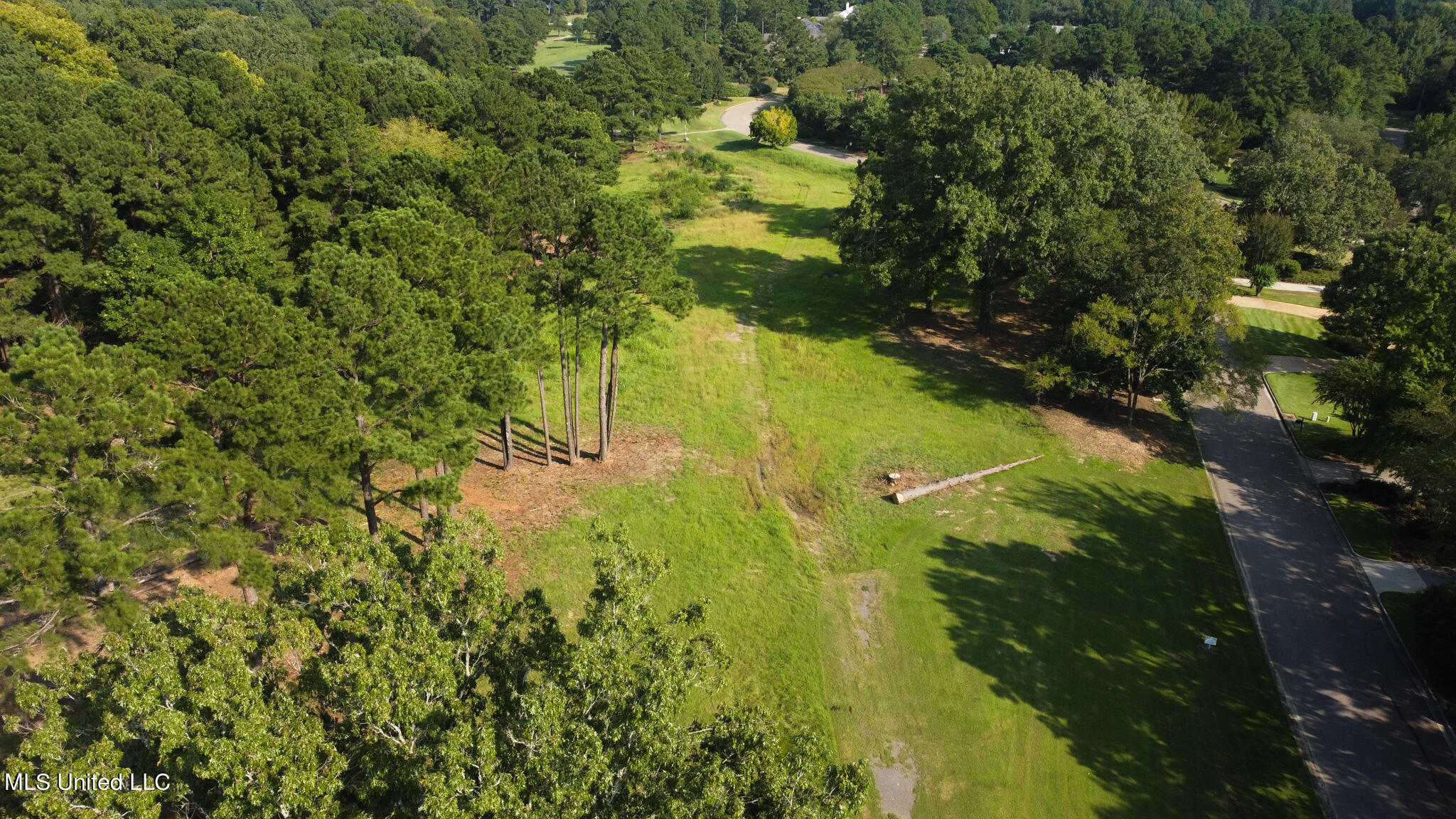 Annandale Drive Property Photo 12