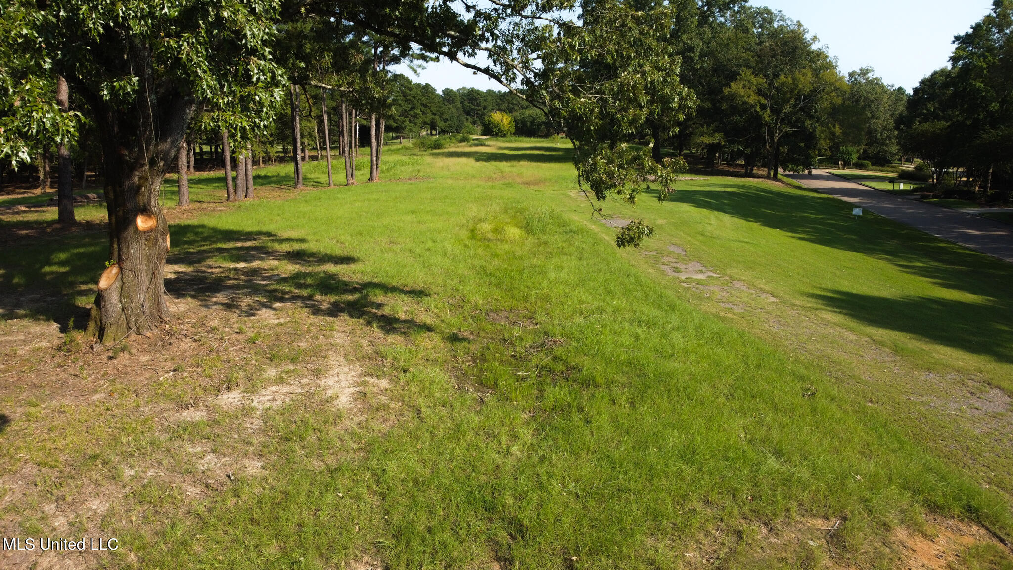 Annandale Drive Property Photo 13