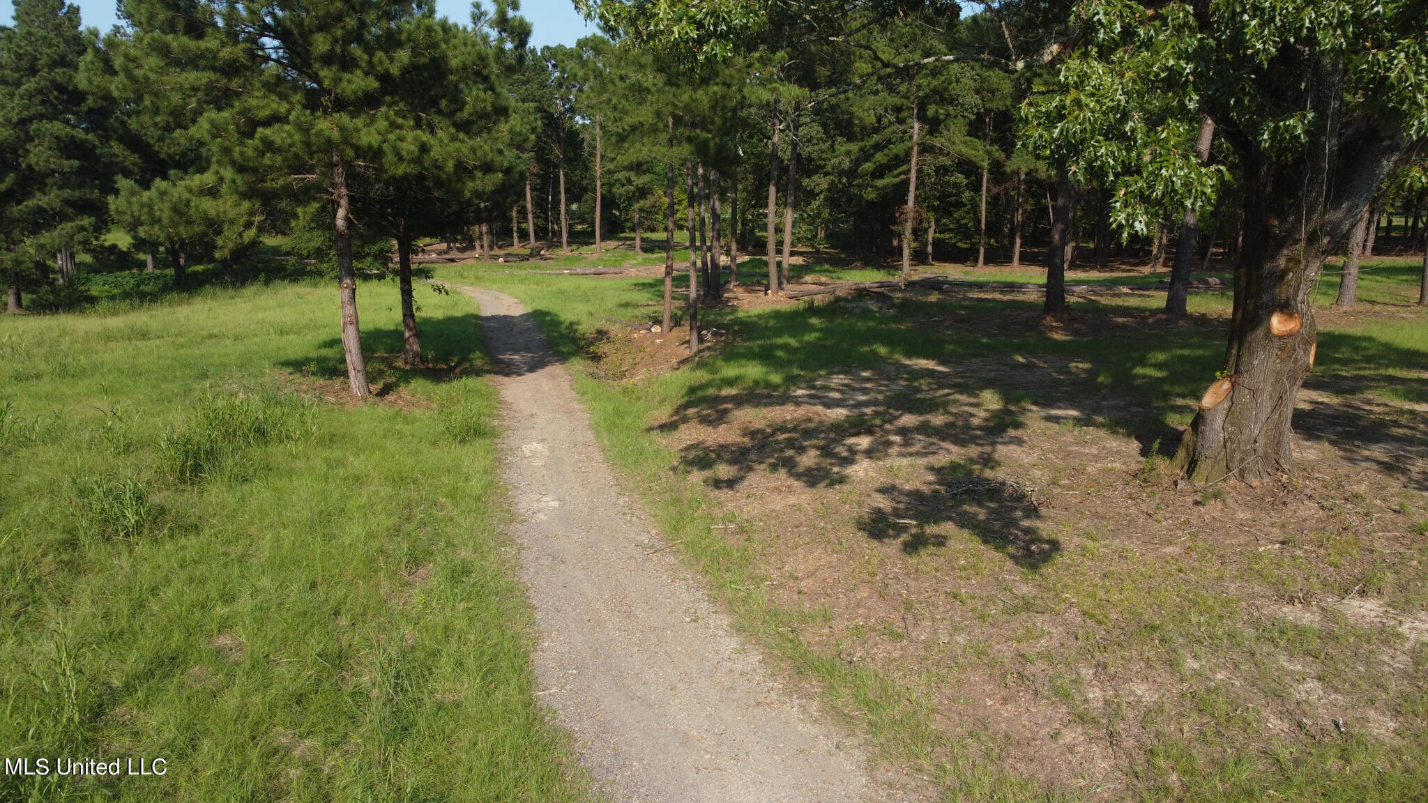 Annandale Drive Property Photo 14