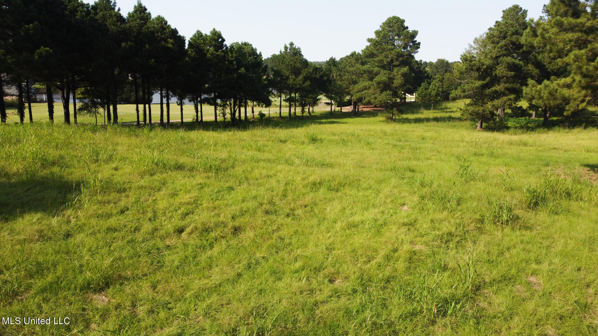 Annandale Drive Property Photo 15