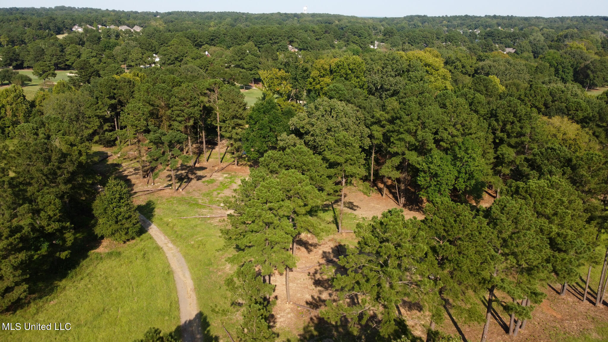 Annandale Drive Property Photo 17