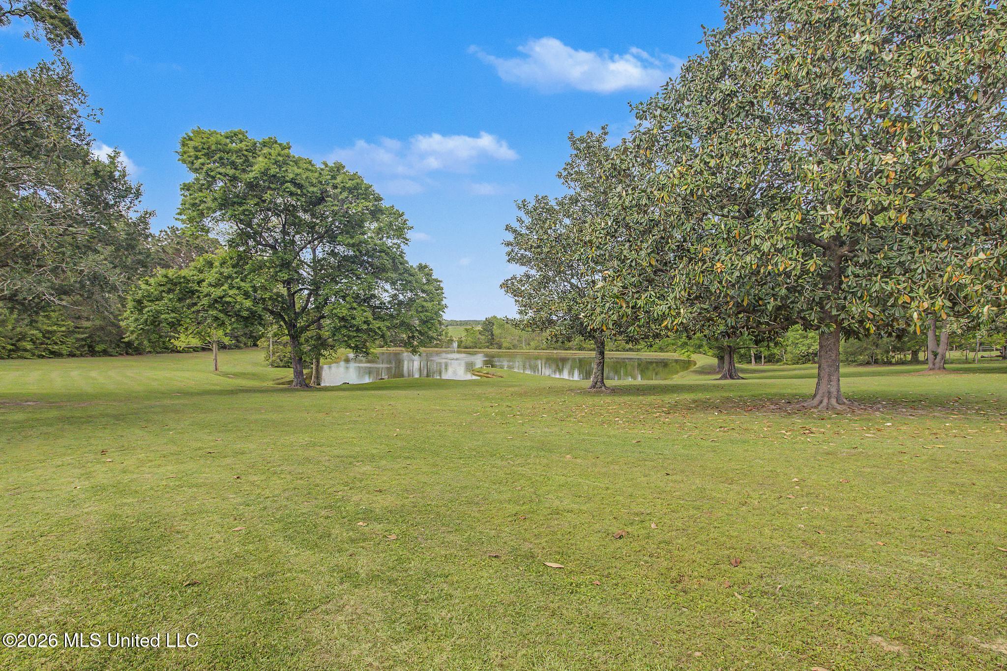 22550 Maes Lane Property Photo 43