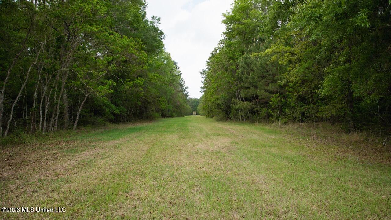 1340 Paradise Lane Property Photo 29