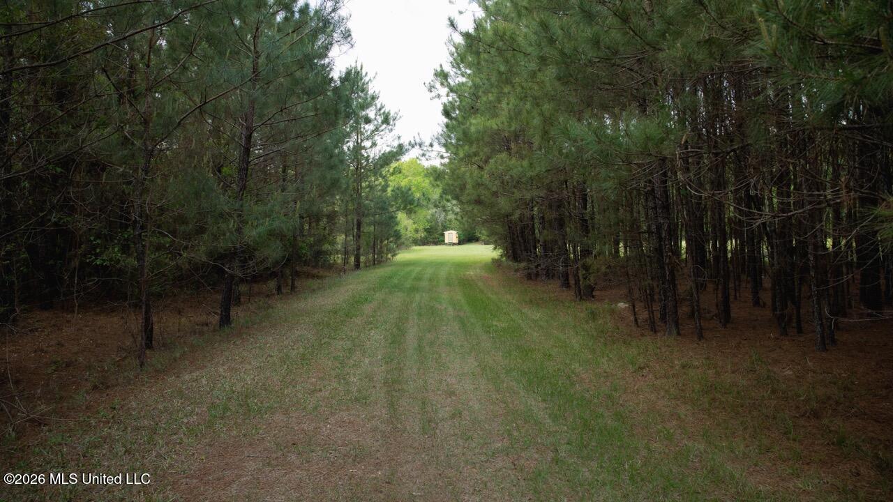 1340 Paradise Lane Property Photo 31