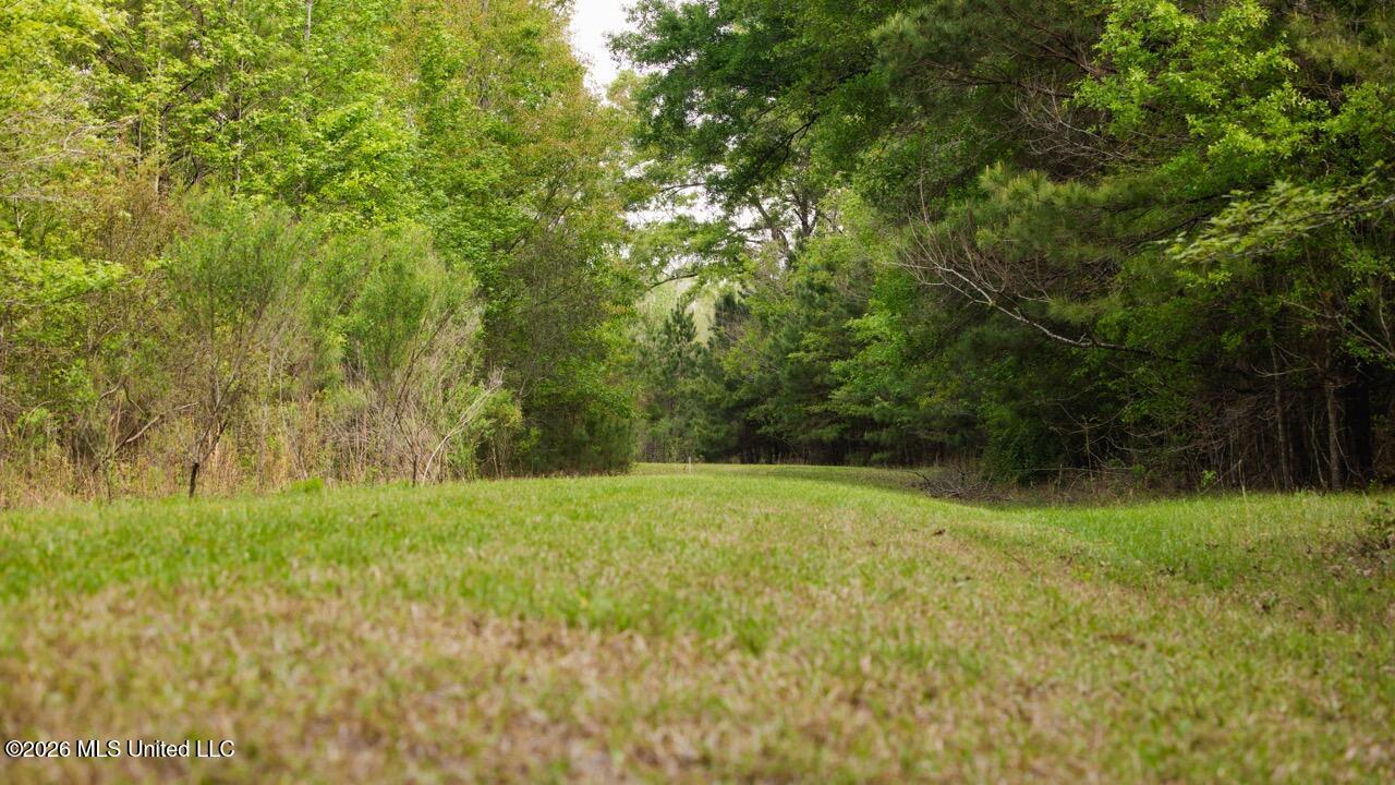 1340 Paradise Lane Property Photo 38