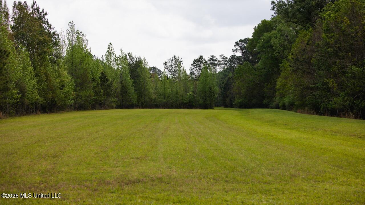 1340 Paradise Lane Property Photo 43