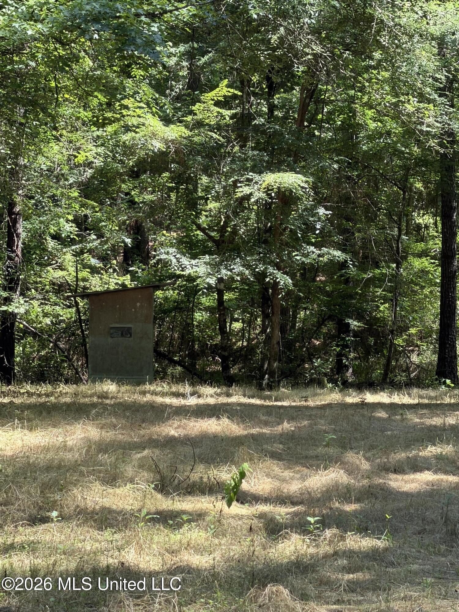 Walker Road Property Photo 4