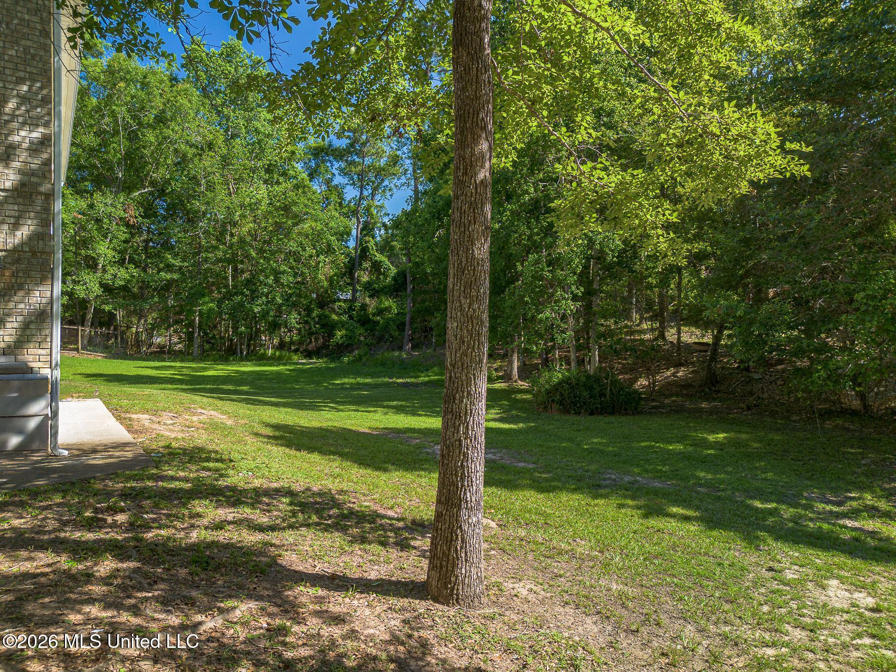 6541 Alakoko Drive Property Photo 5