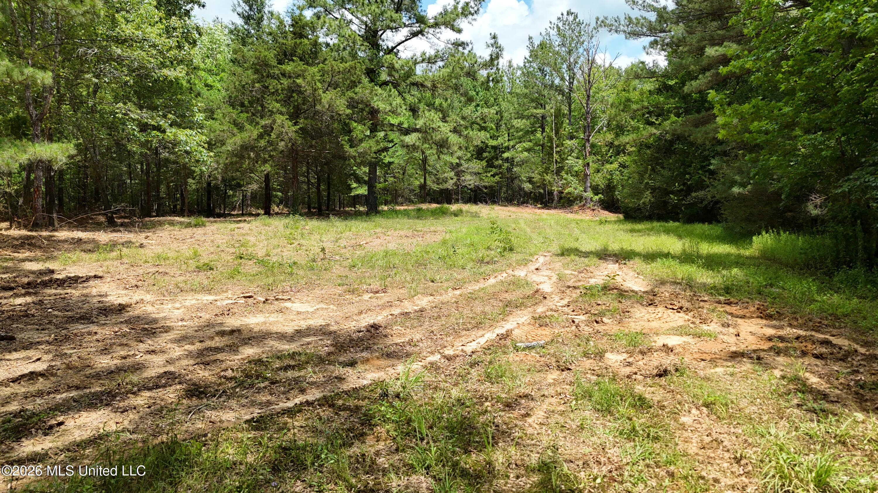 0164 Potluck Property Photo 6