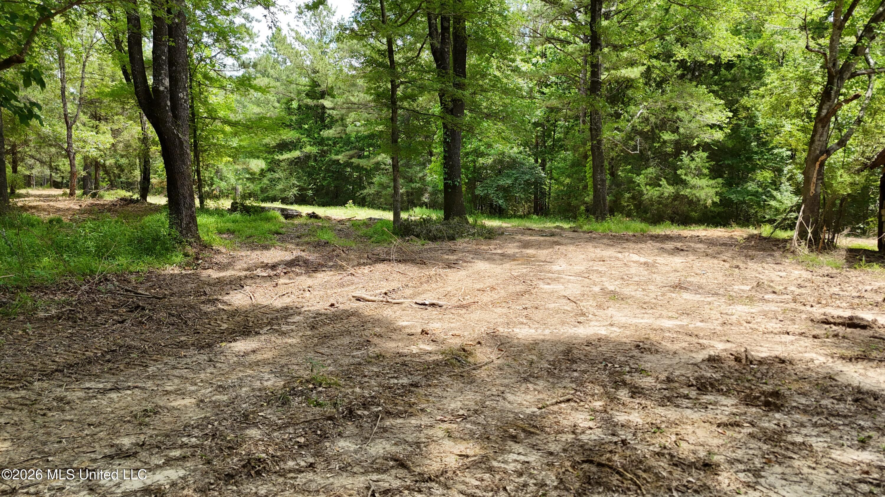 0164 Potluck Property Photo 7