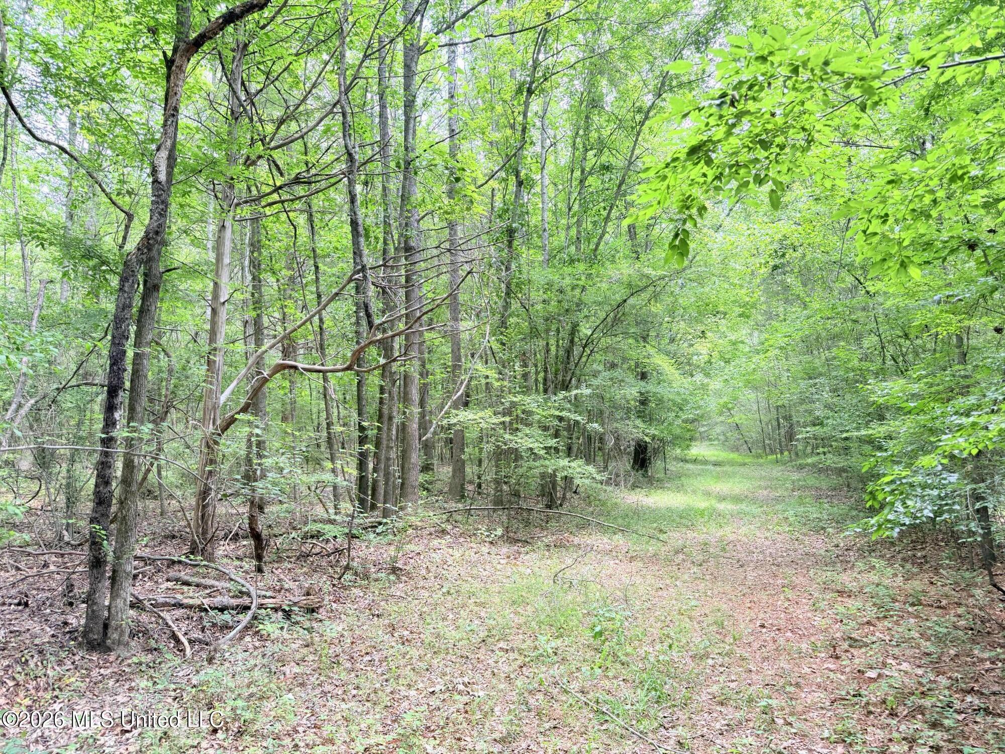 0164 Potluck Property Photo 8
