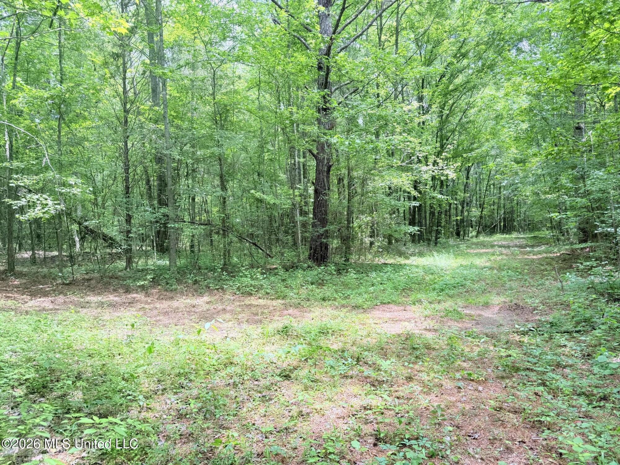 0164 Potluck Property Photo 10