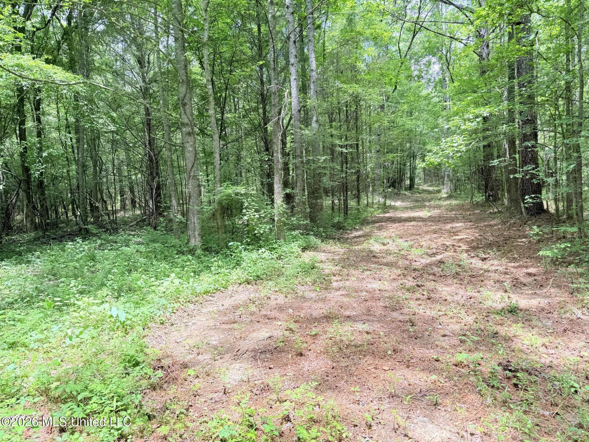 0164 Potluck Property Photo 11