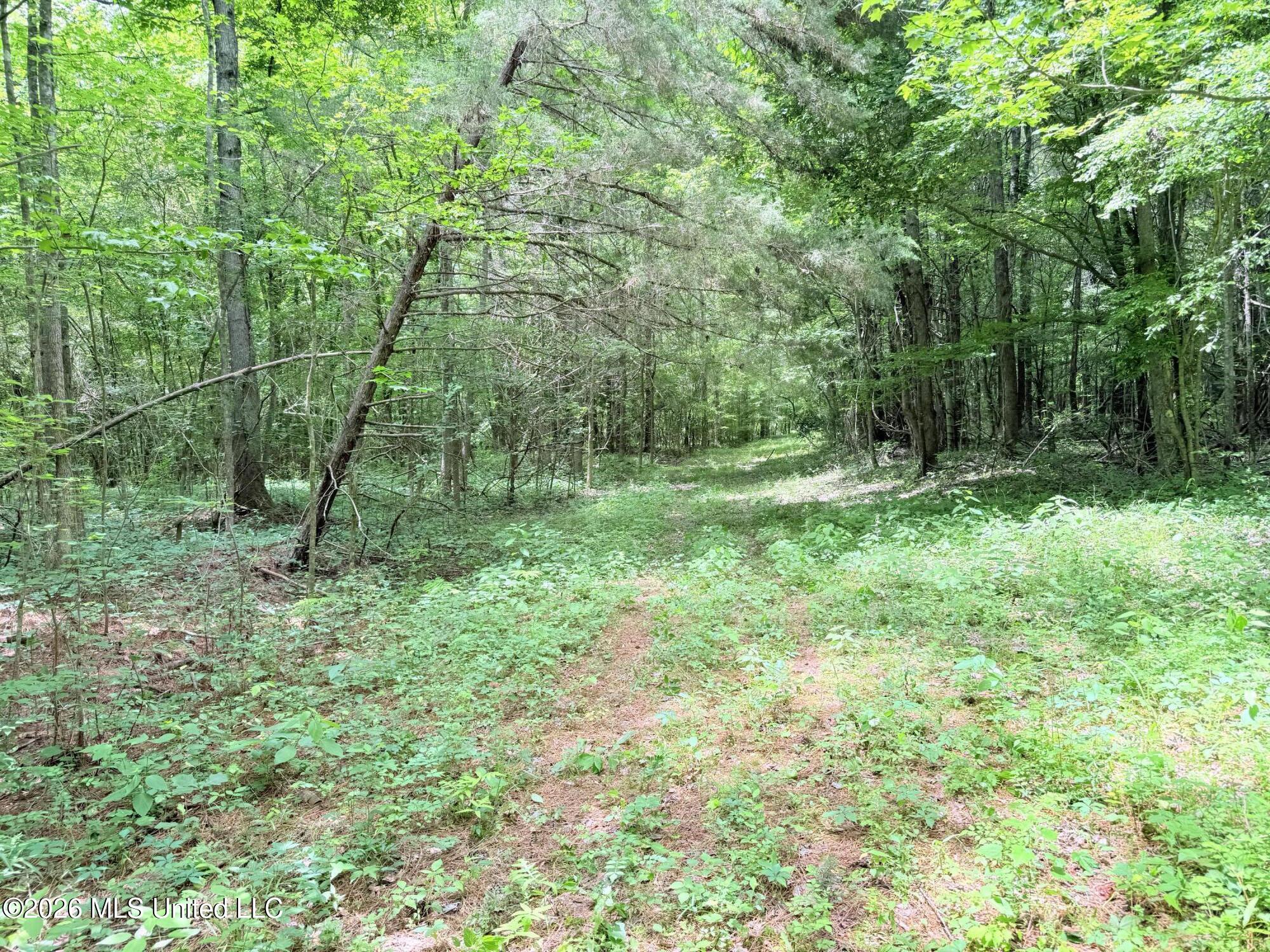 0164 Potluck Property Photo 12